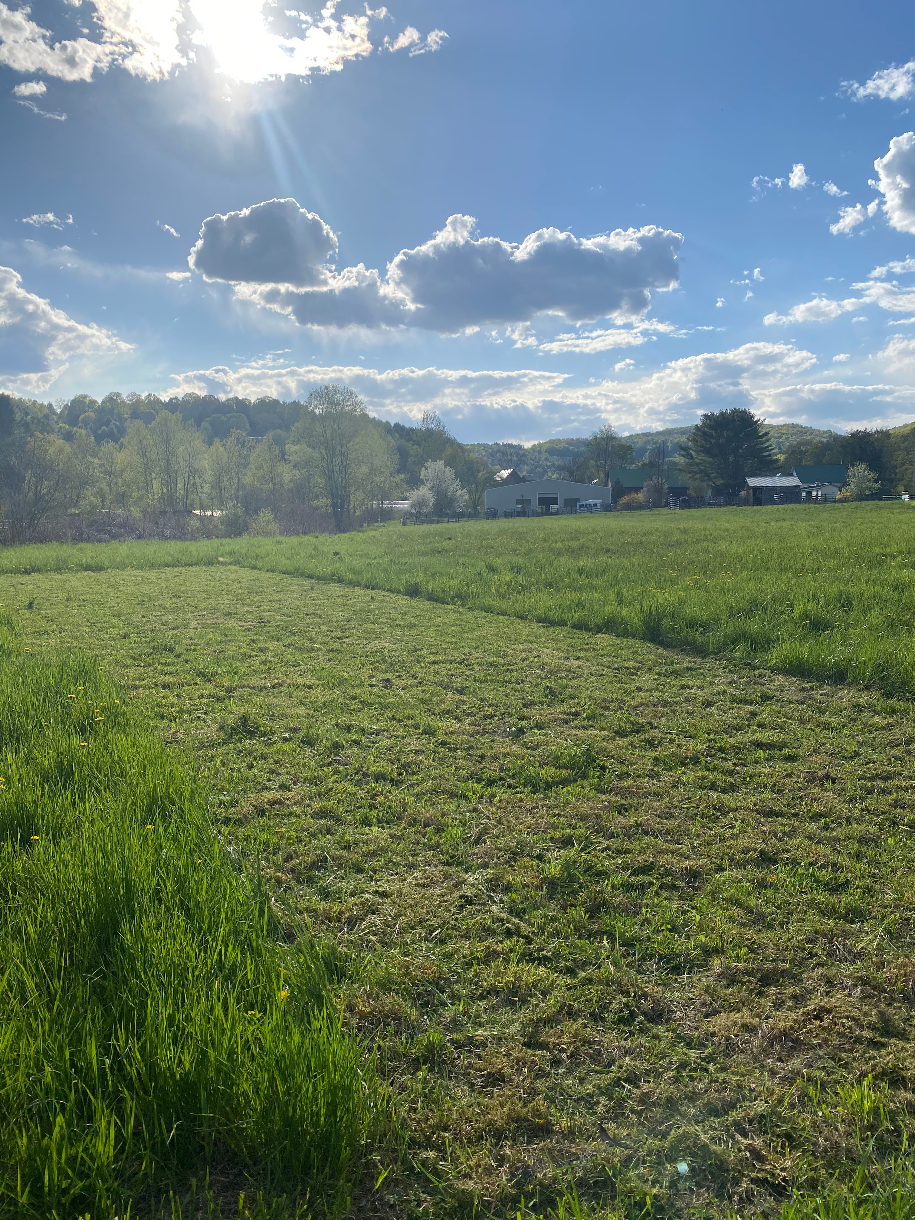 Brookside Camping @ Full Joy Farm