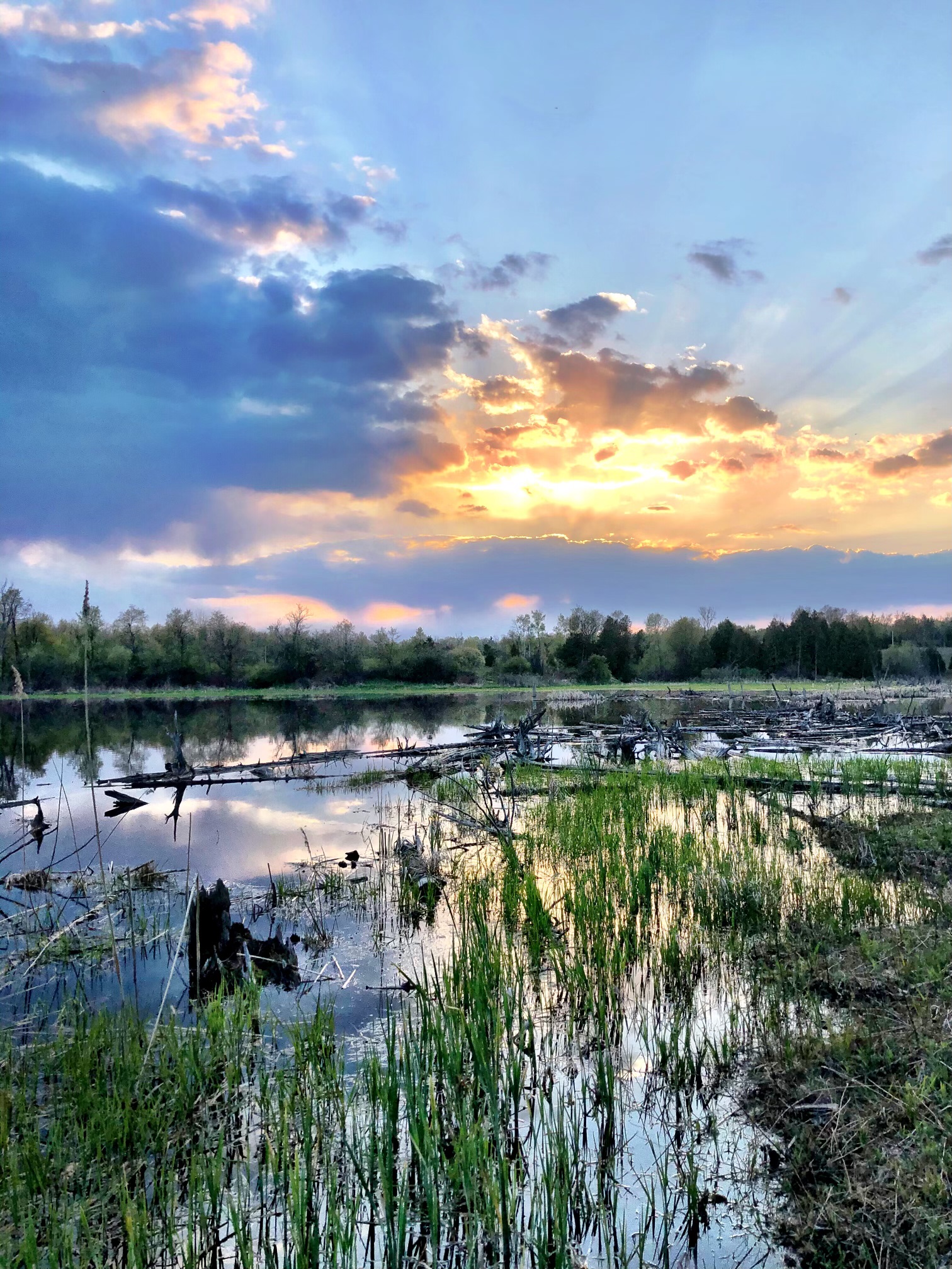 Boondocking on 135 Acres