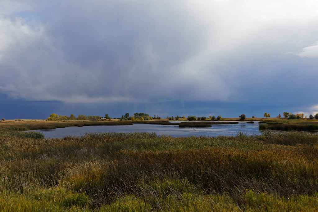 Kinbrook Island Provincial Park