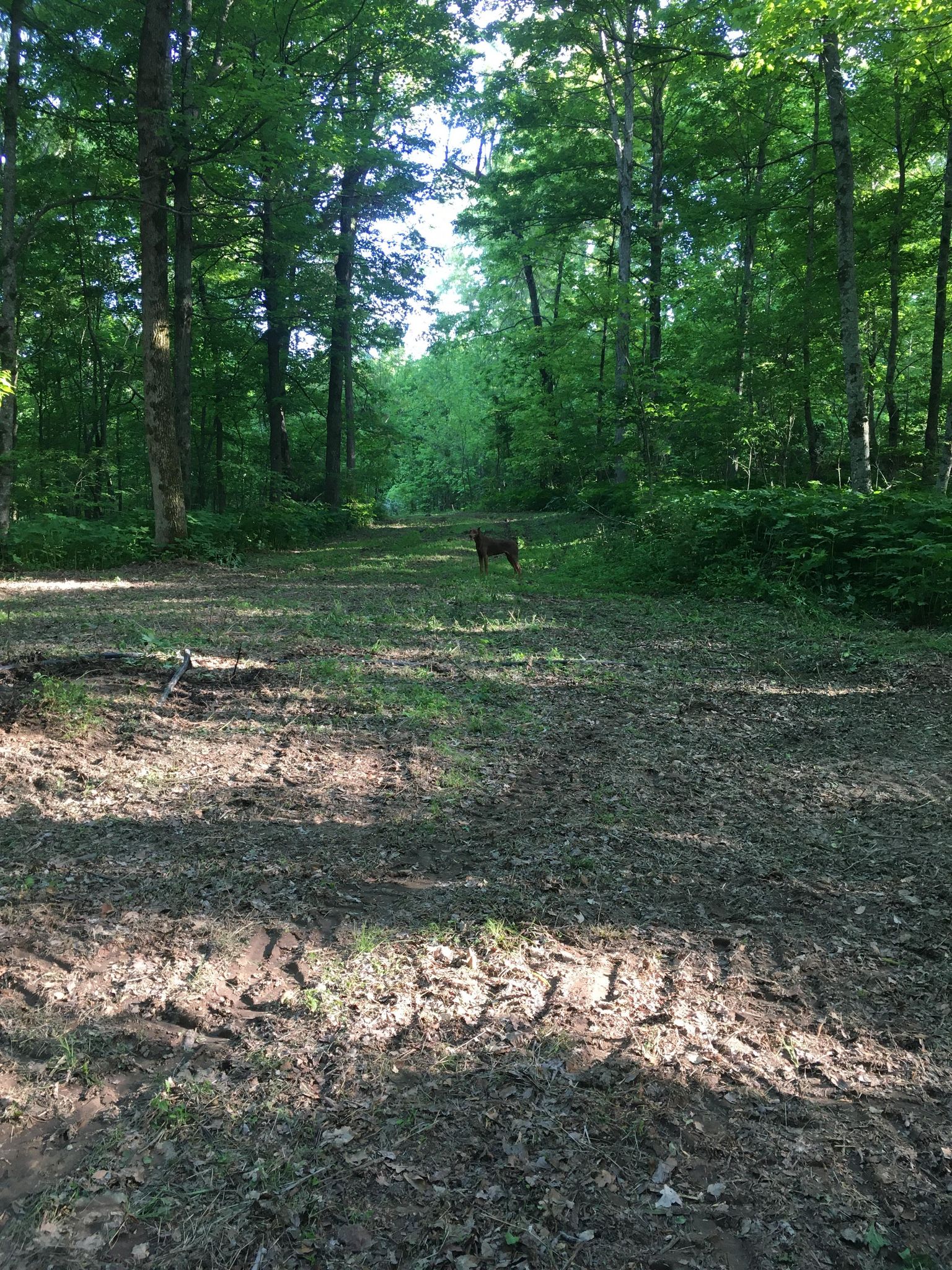 Canaan Land Farm