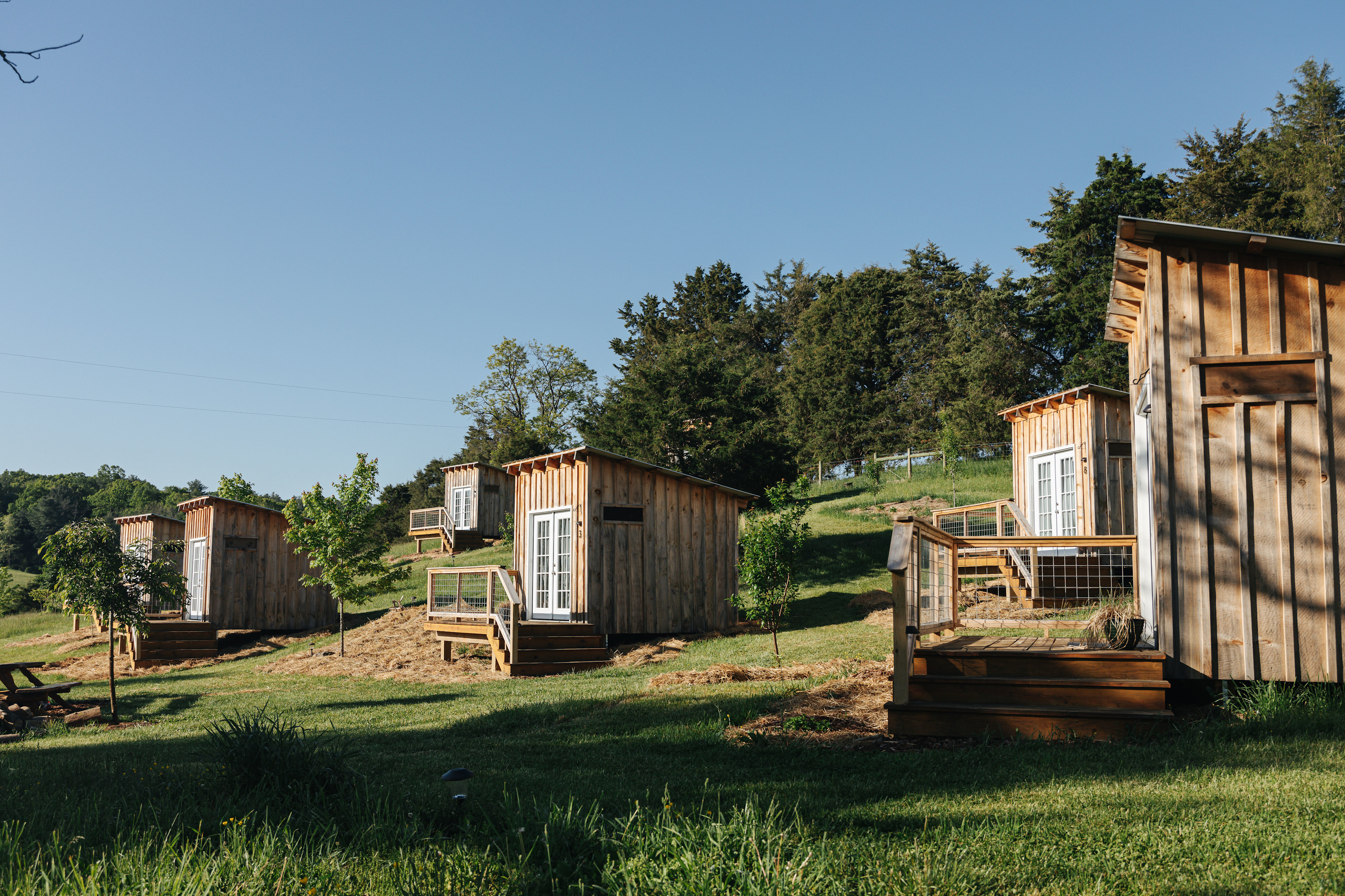 The Cabins on 1Tribe Farm