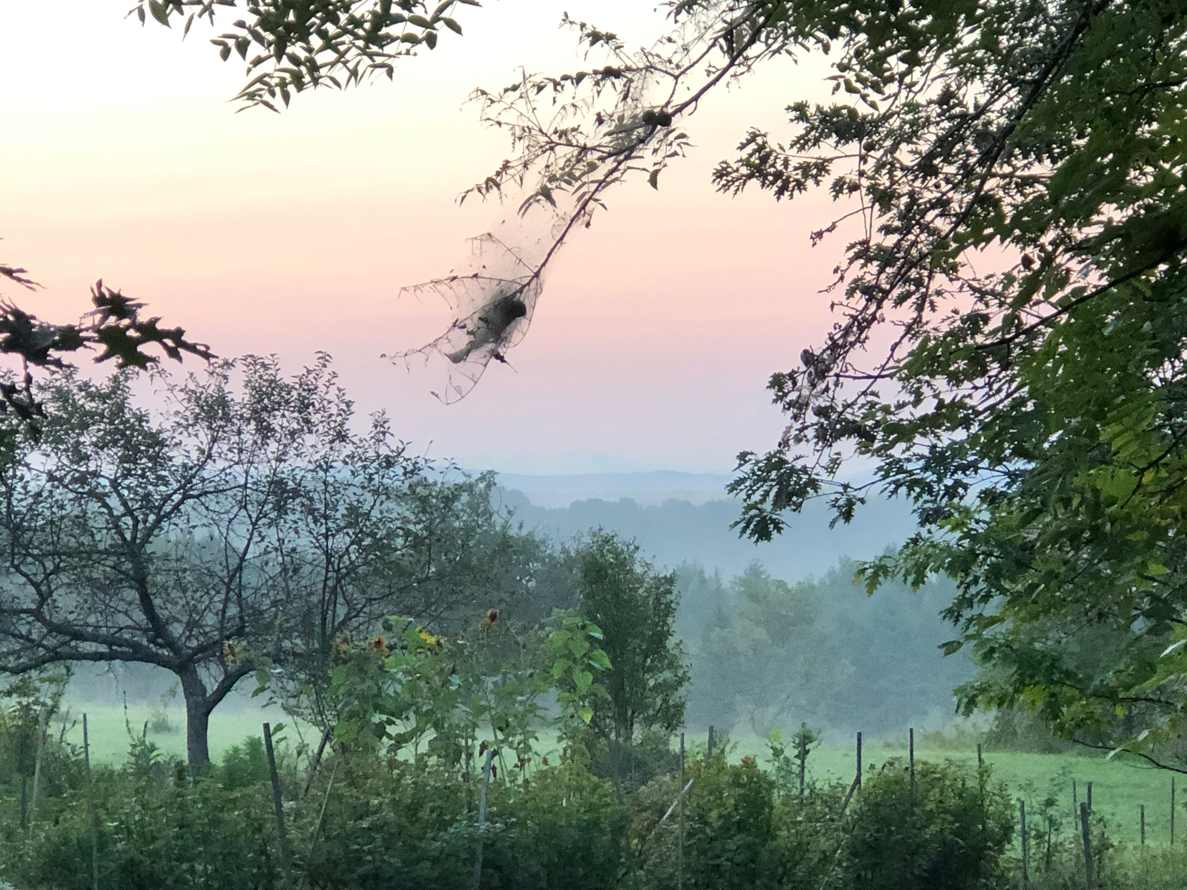 Camping in the Eastern Townships!