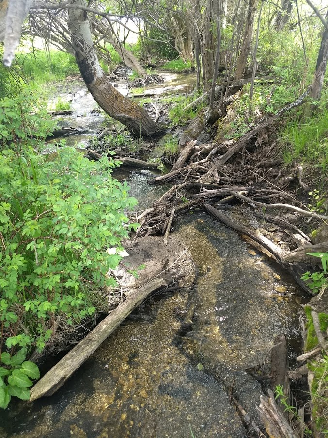Creekside getaway 