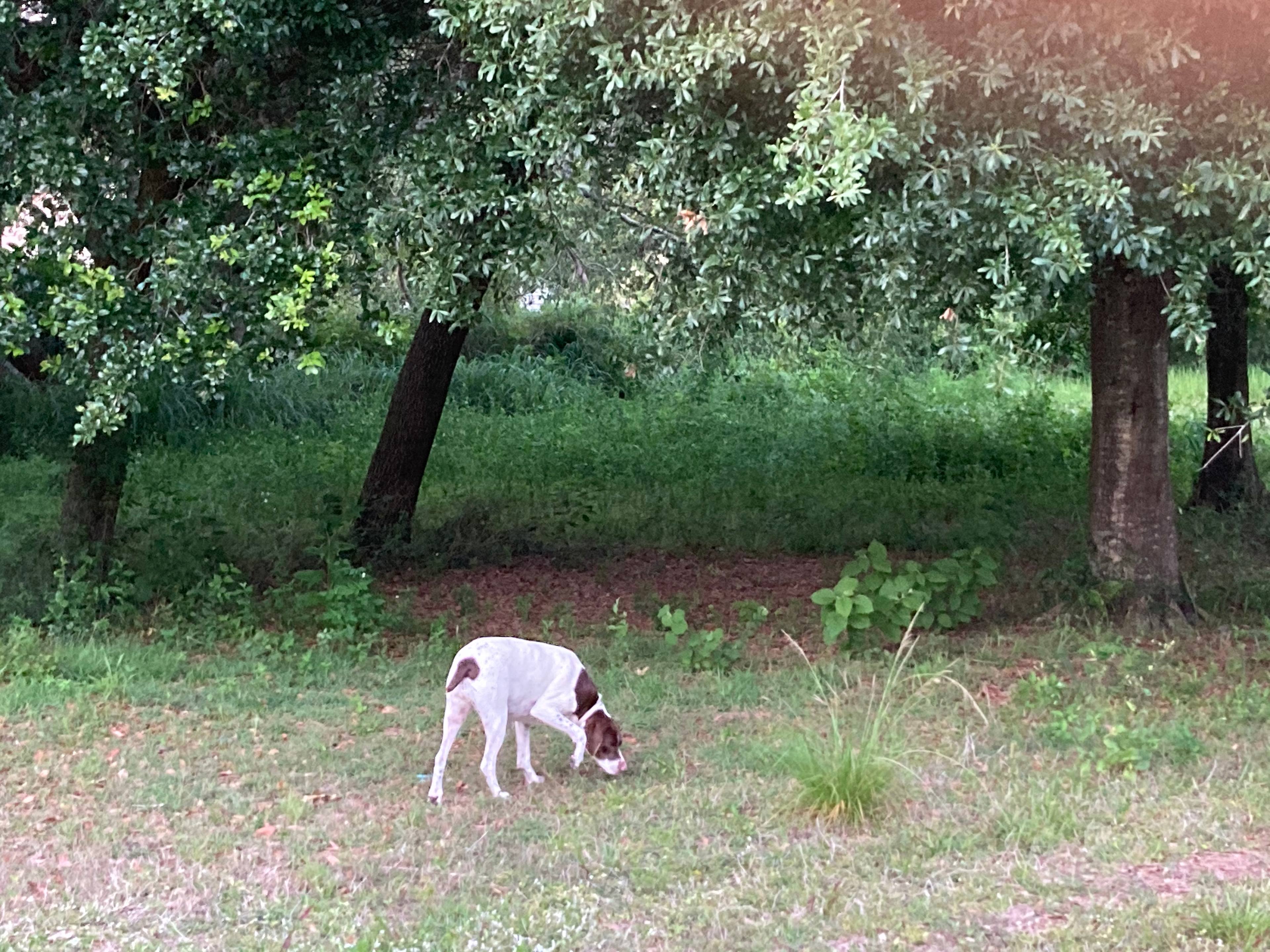 Country Setting Camp