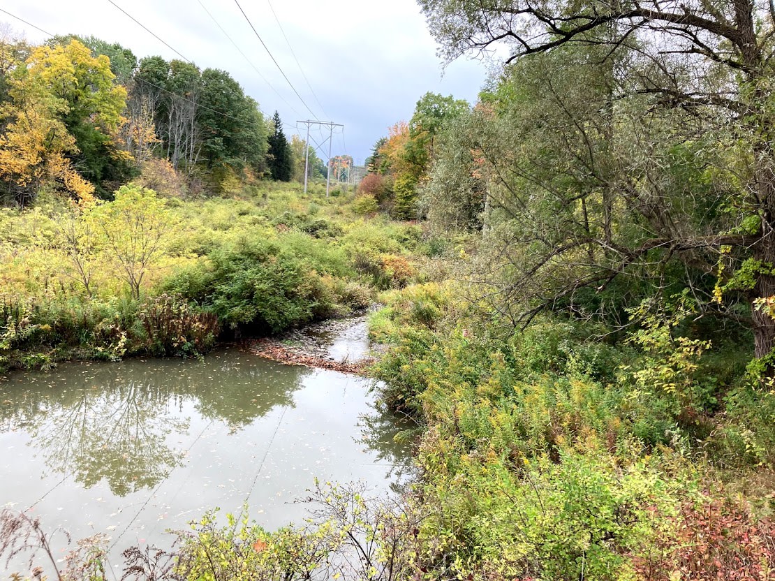 Cascadilla Creek as the pond keeps flowing toward town. 