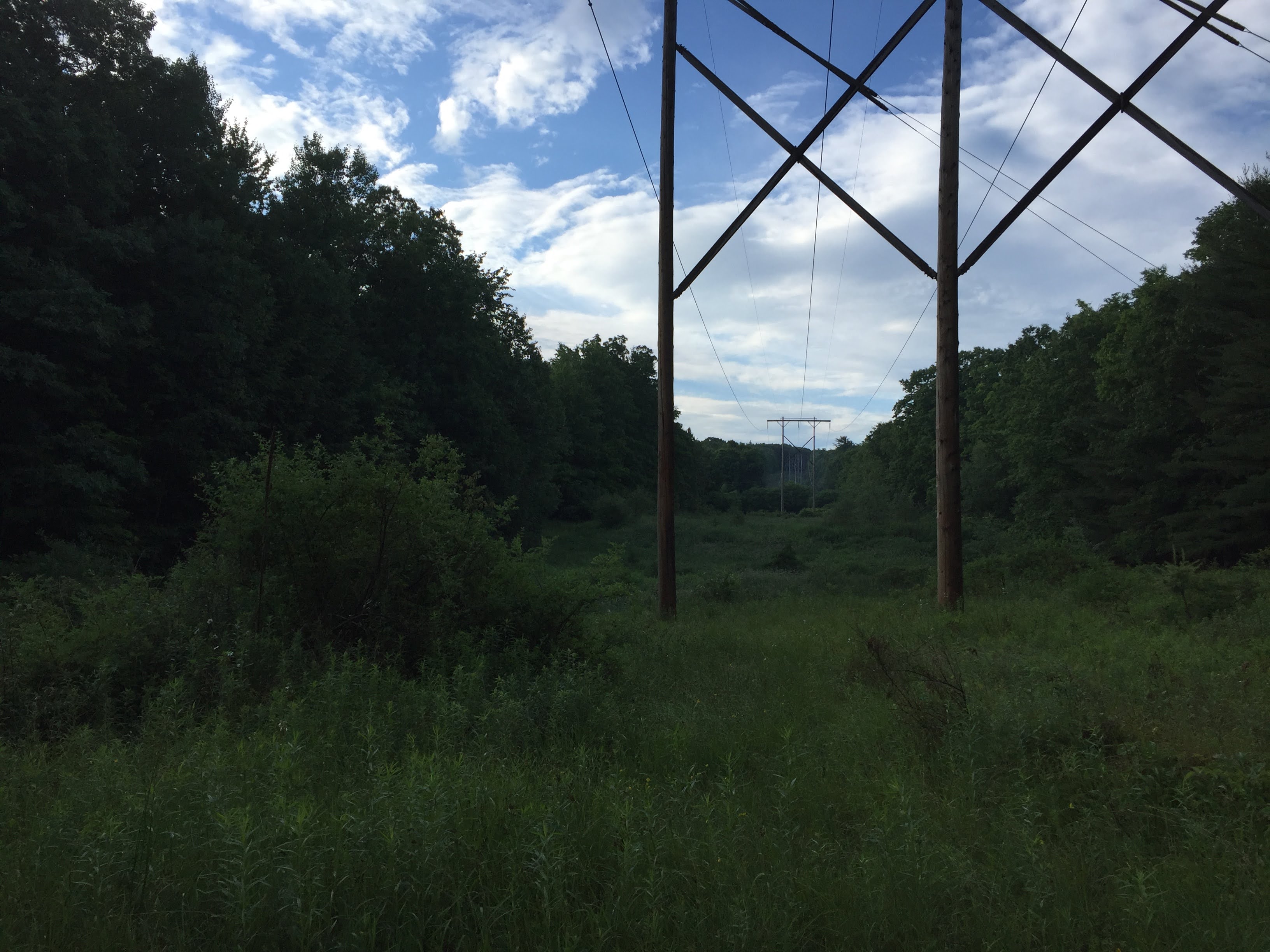 Tall power lines cut across the land but don't terribly distract from the natural beauty.