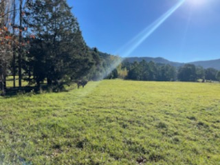 Ferncroft Farm and Tiny Home