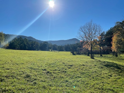 Ferncroft Farm and Tiny Home