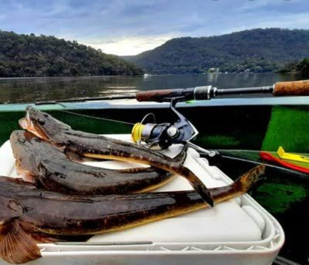 Berowra Waters - 3km from site
