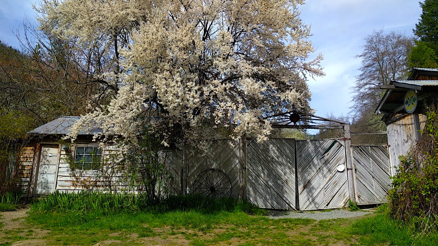 Trillium Wilderness Retreat