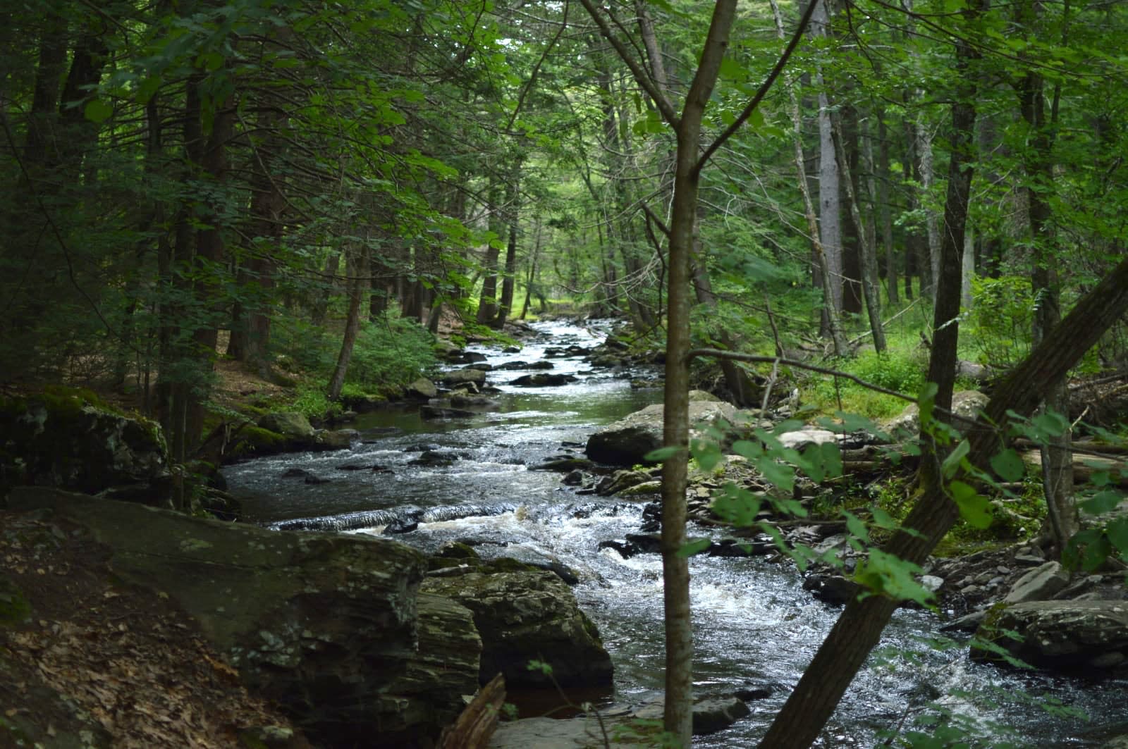 Log & Twig Retreat