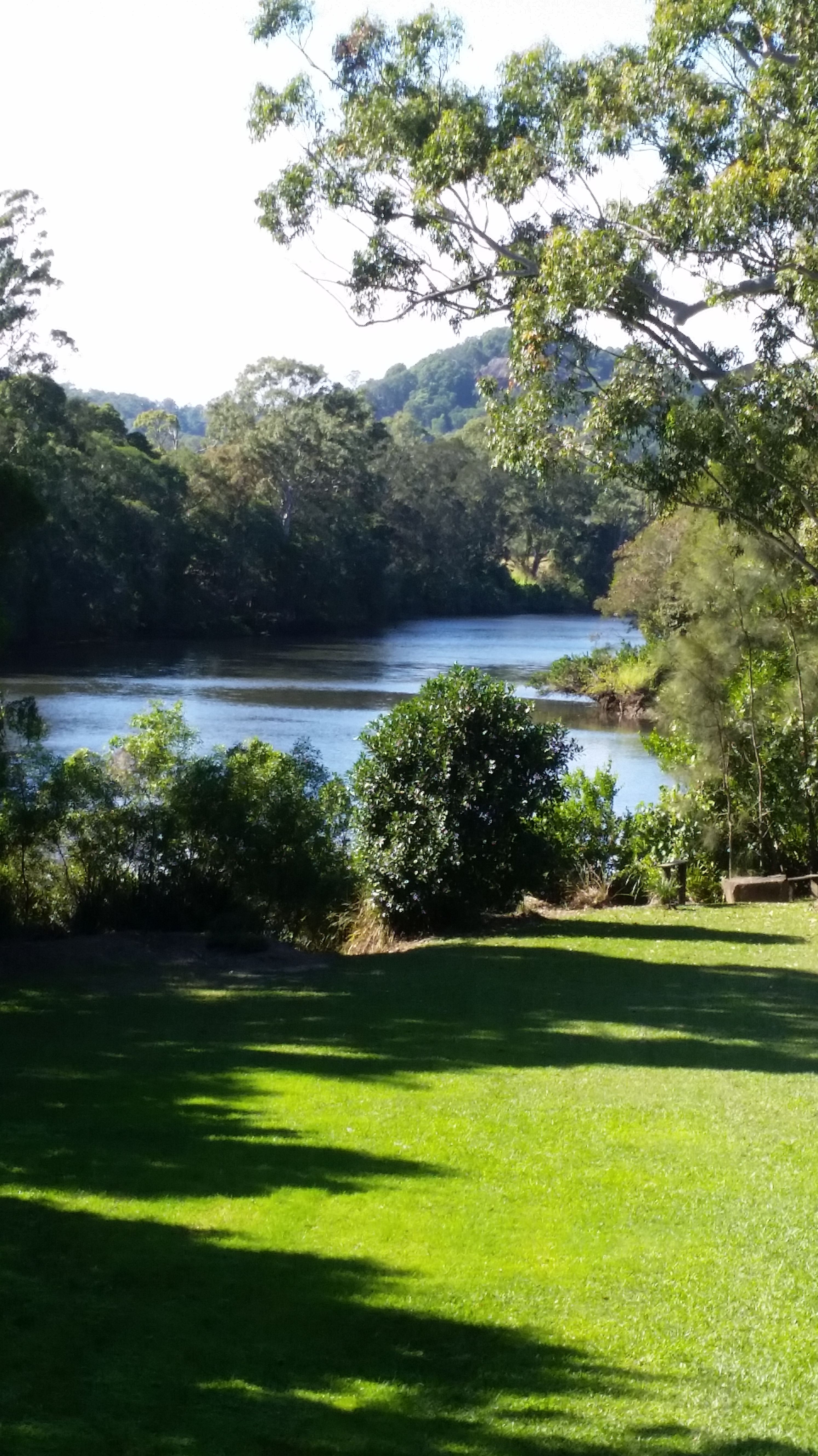 Three Rivers