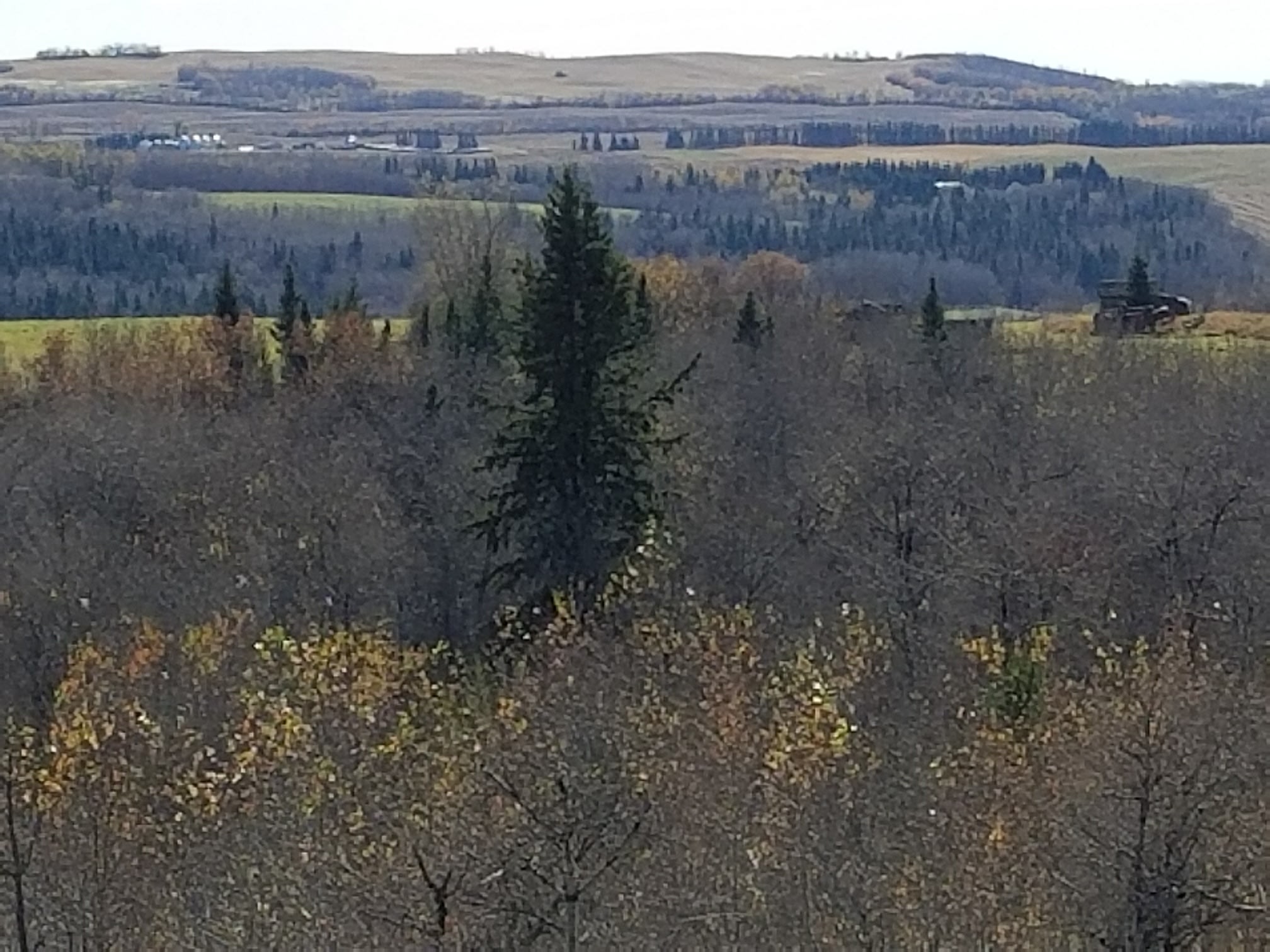 Lake View Property