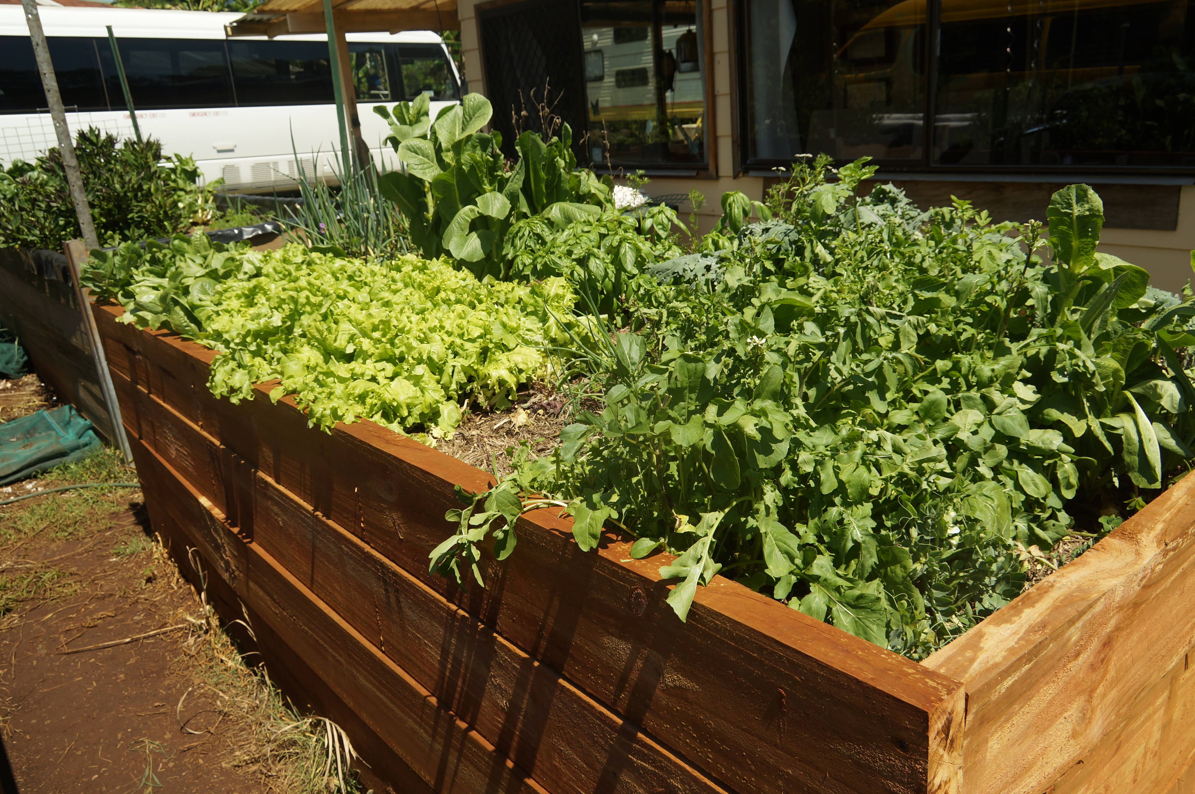 Quiet, semi social atmosphere.