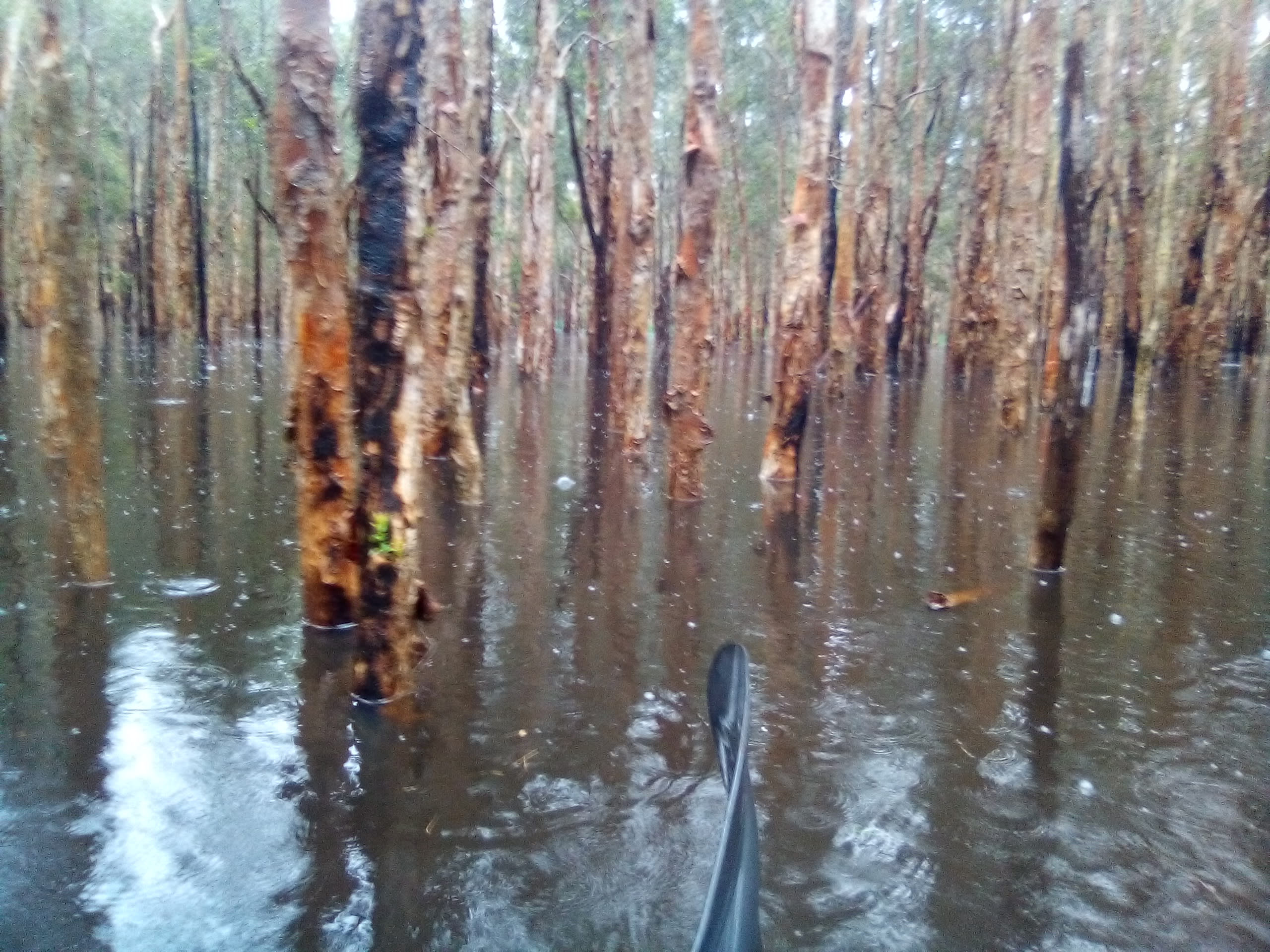 Shark Creek  Bush Camp