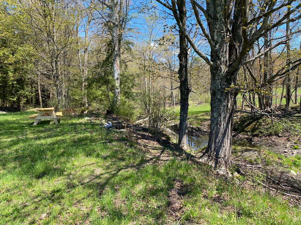 a little wet area behind site 3 prefect for dogs and kids to explore!