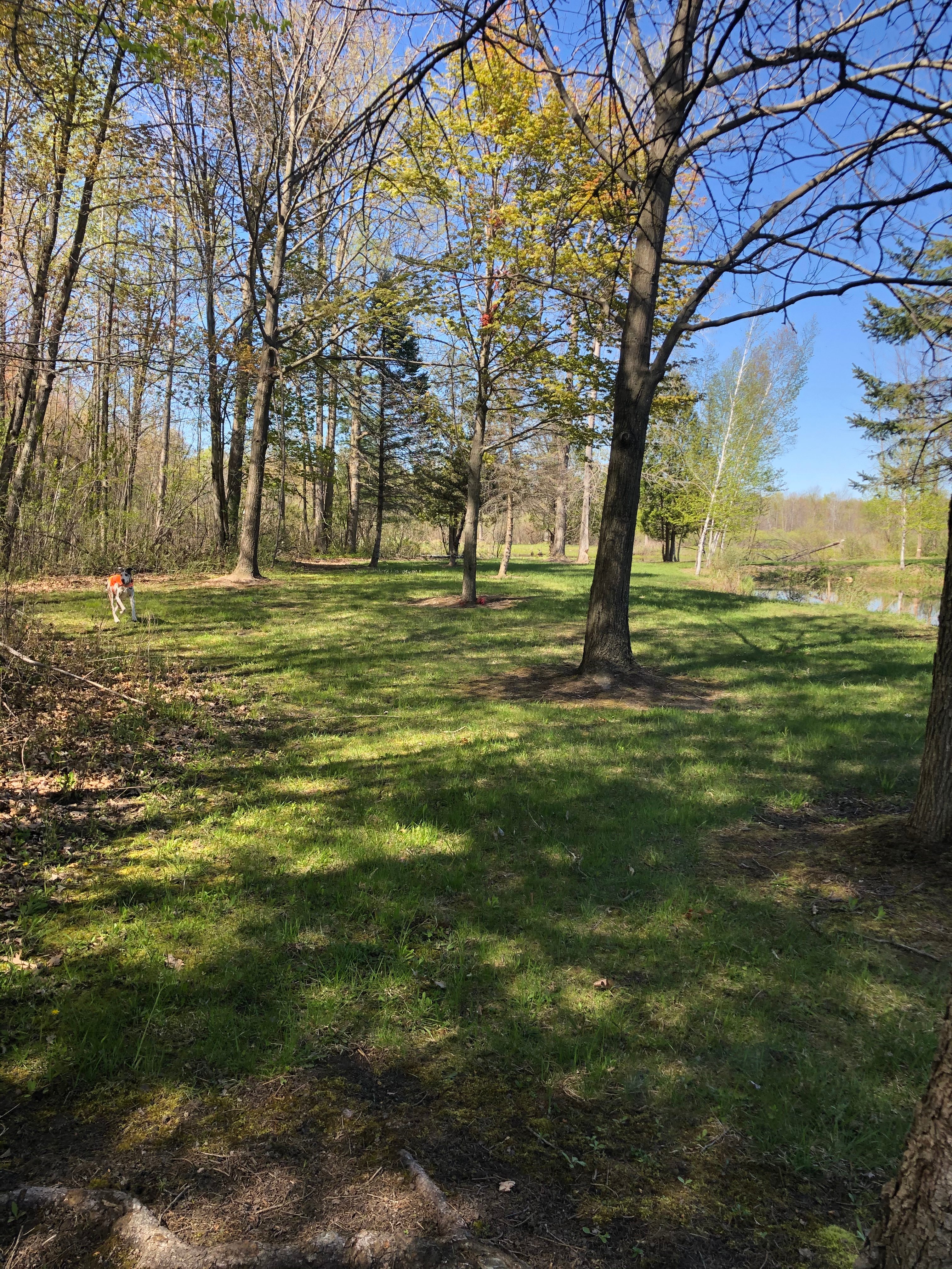 Verity acres
