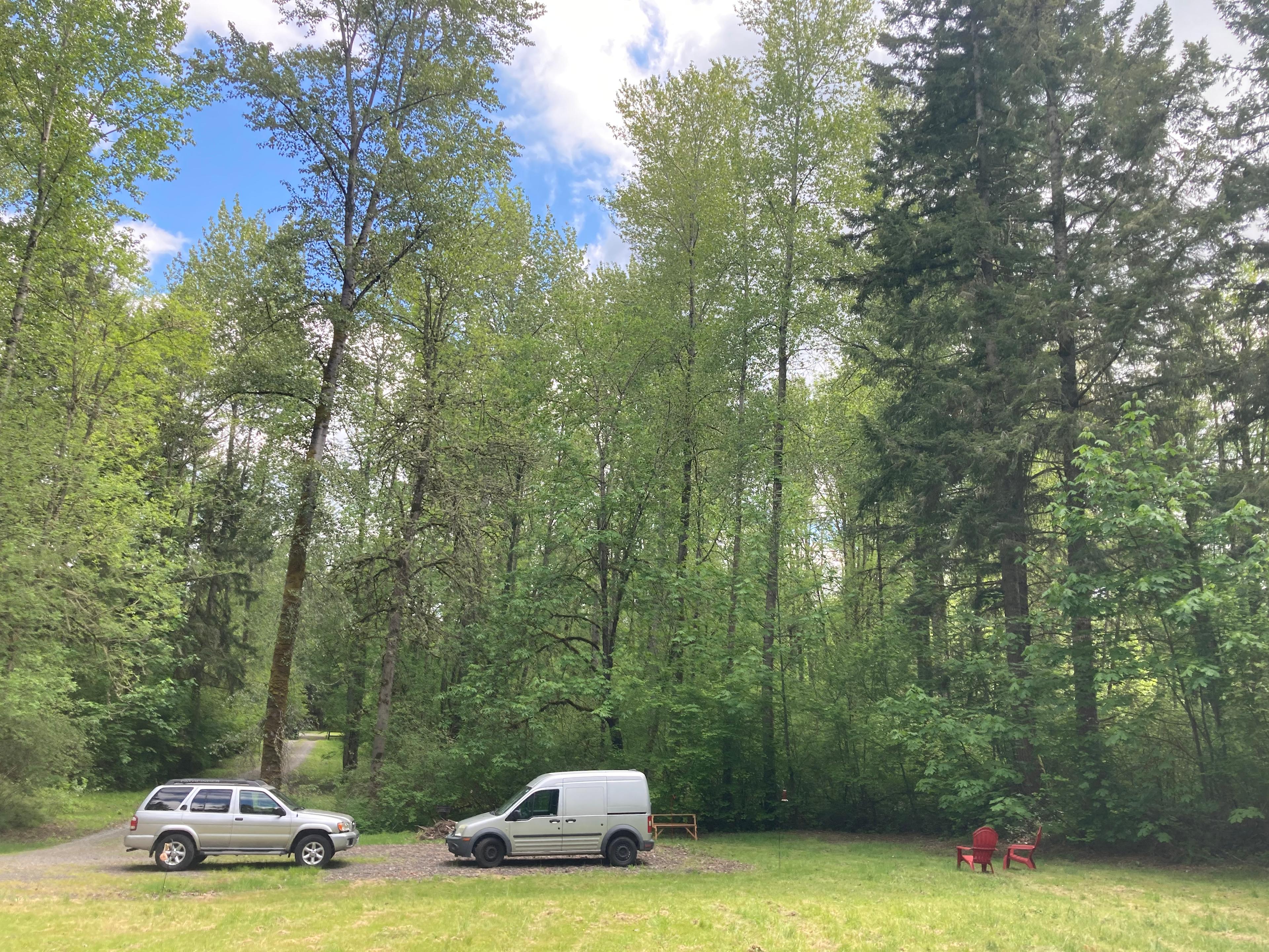 Her Wilderness’s Starry Cove