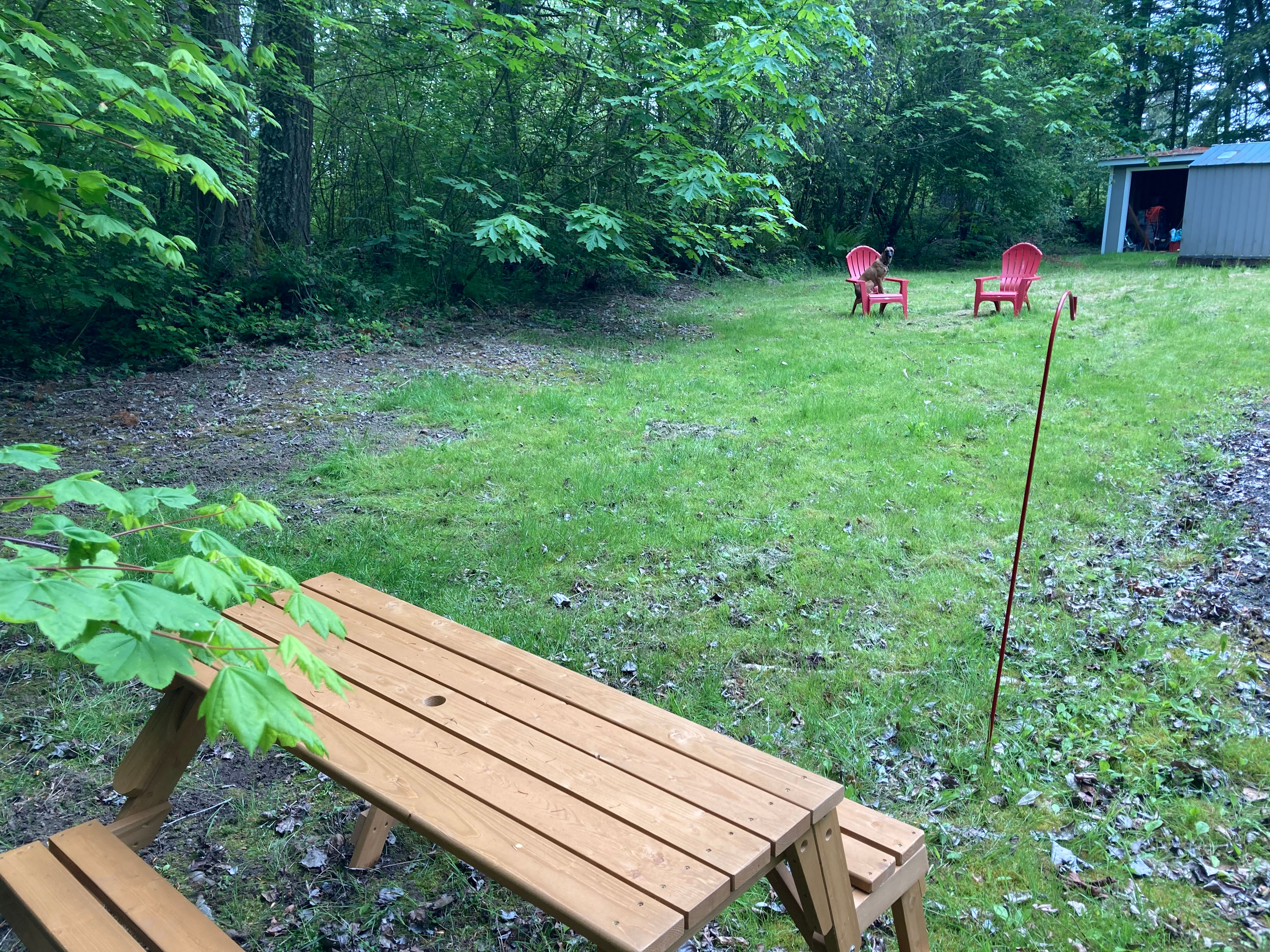 Her Wilderness’s Starry Cove