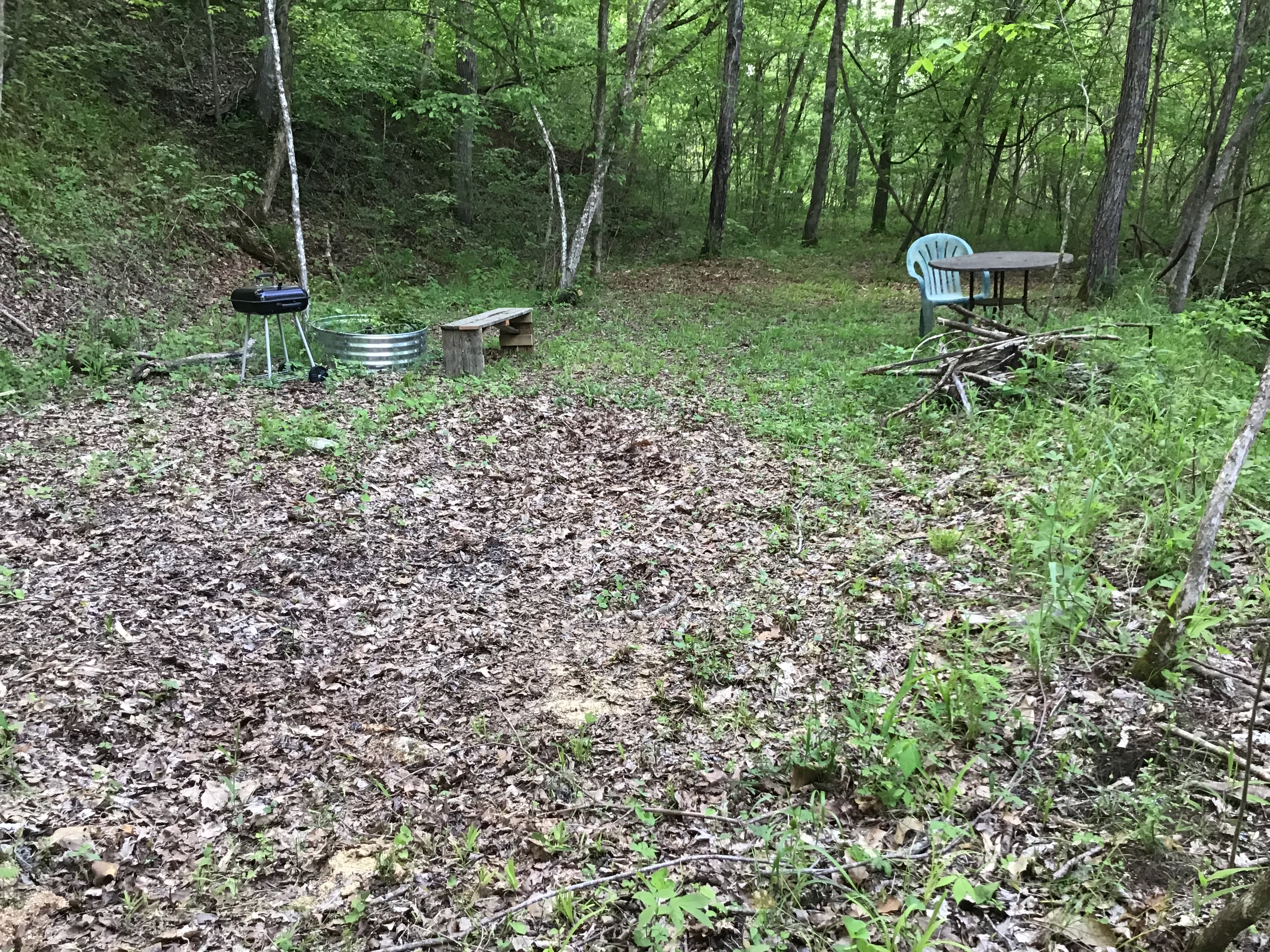 Campsite 1 runs along Little Brushy Creek. It offers a table, bench, fire pit as well as a BBQ pit. Two smaller campsite are off the trail leading to this place. All are part of number 1