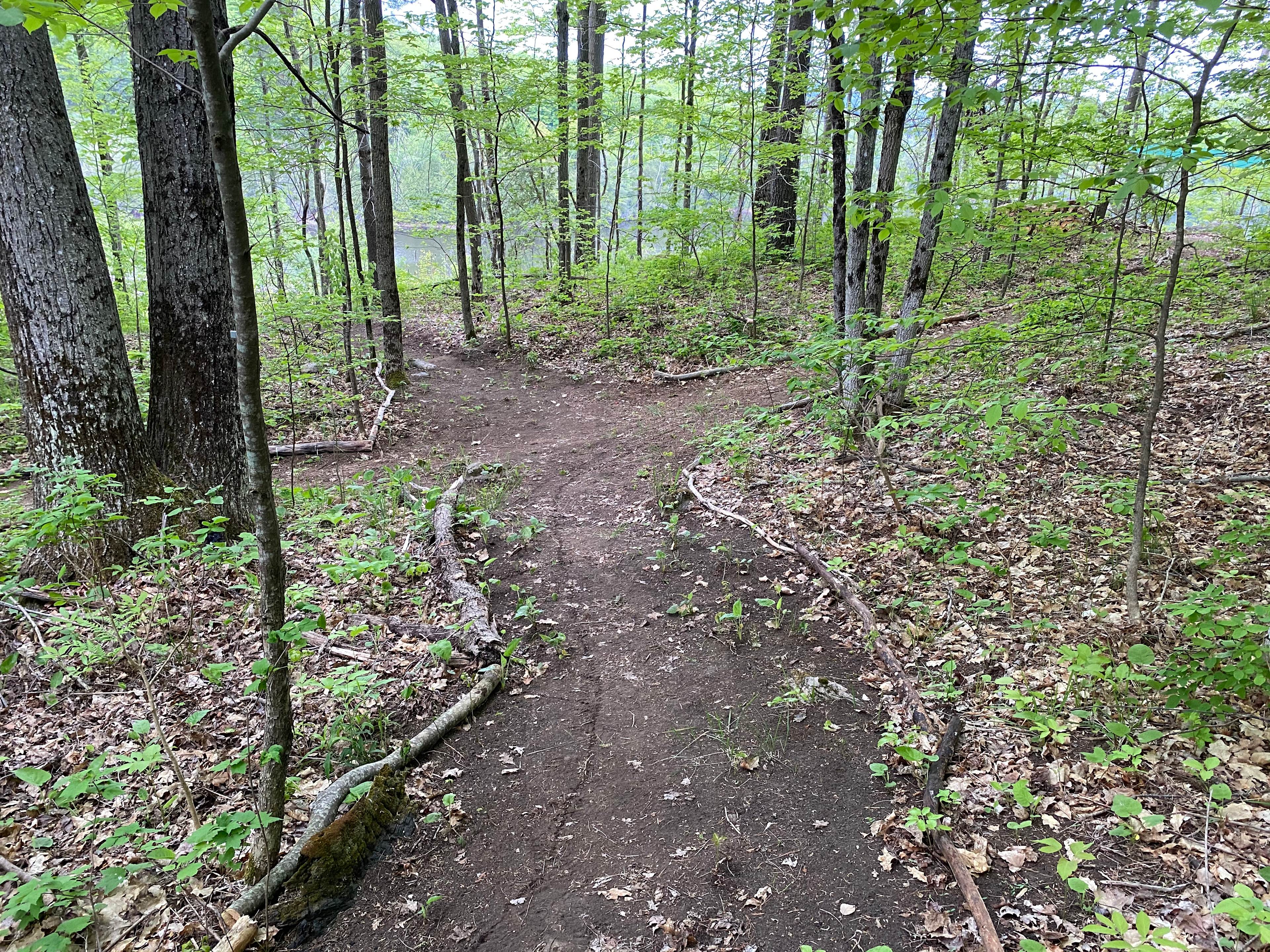 Straight to the water, left is the bathroom and right to the campsite. 