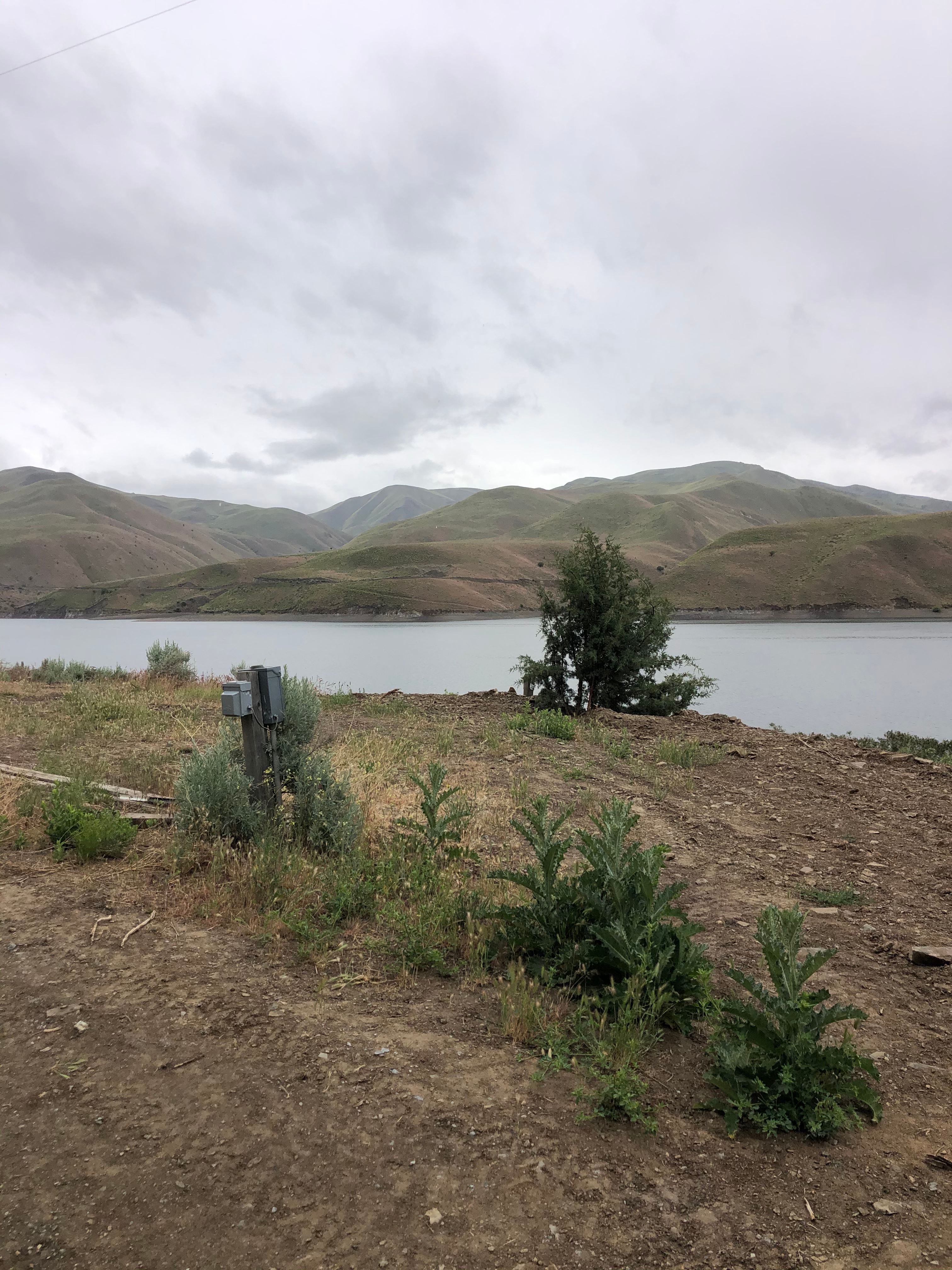 Waterfront cabin and camping