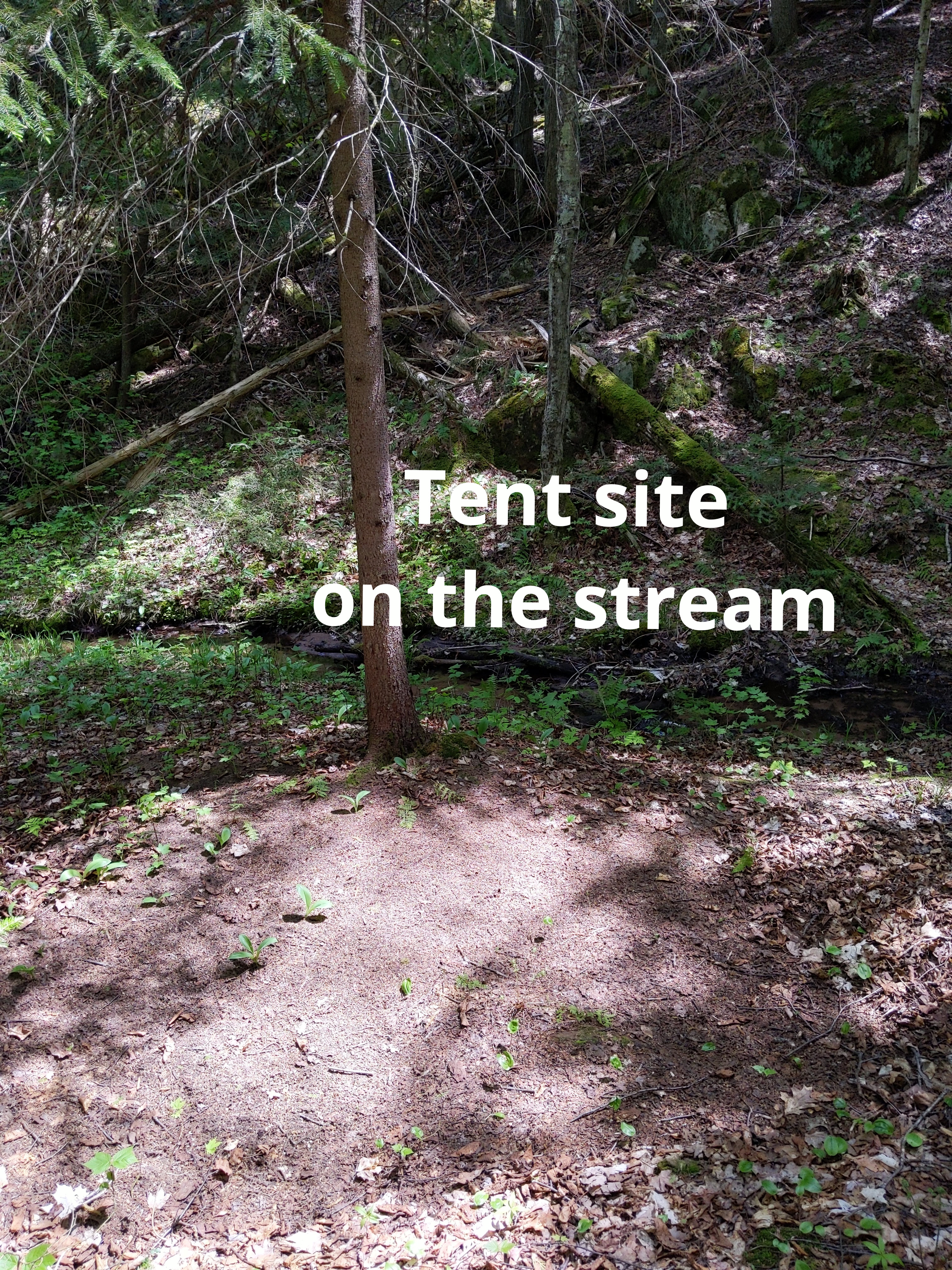 Possum Creek Campground