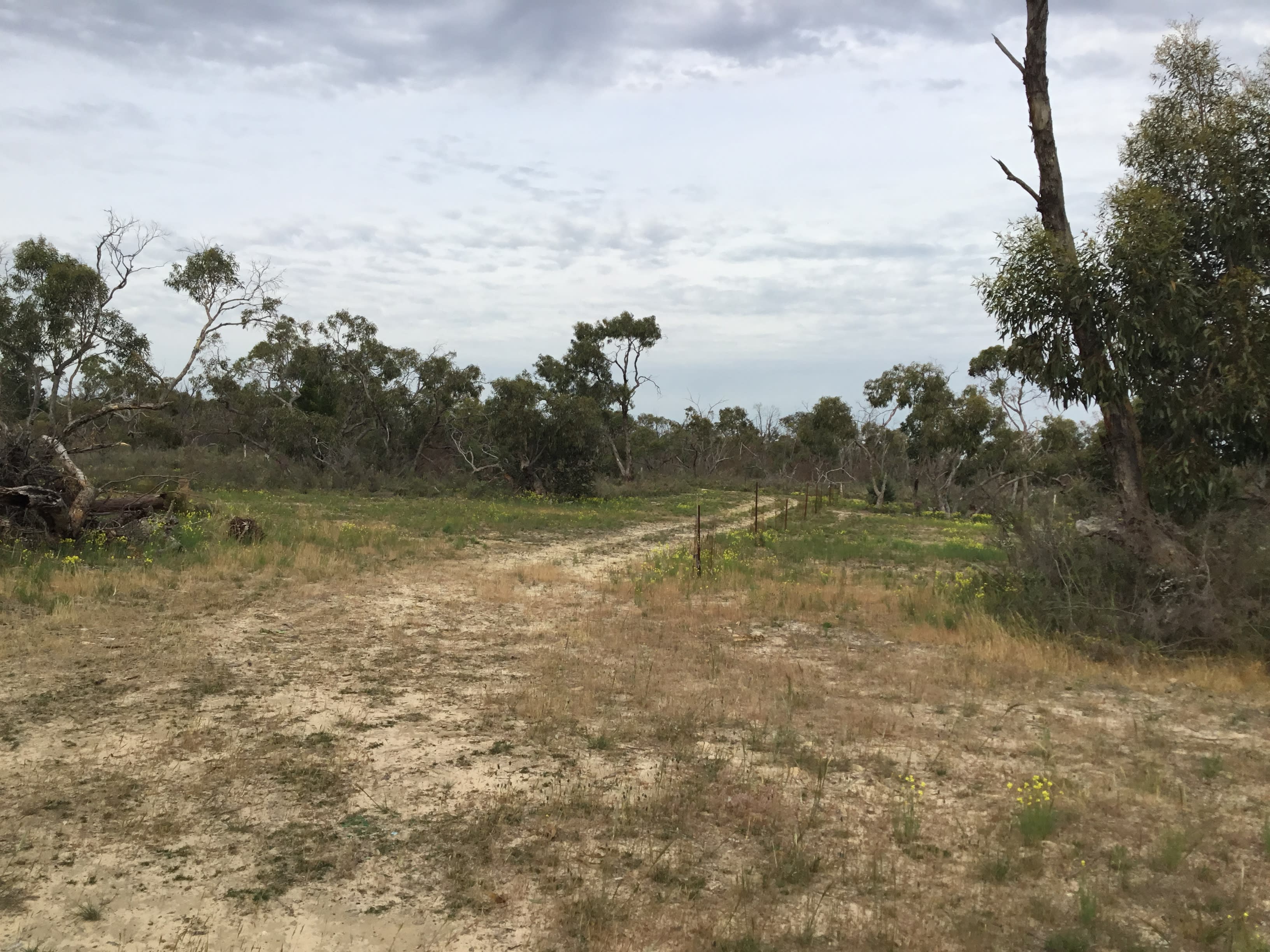 Dufholme Cabin & Camping