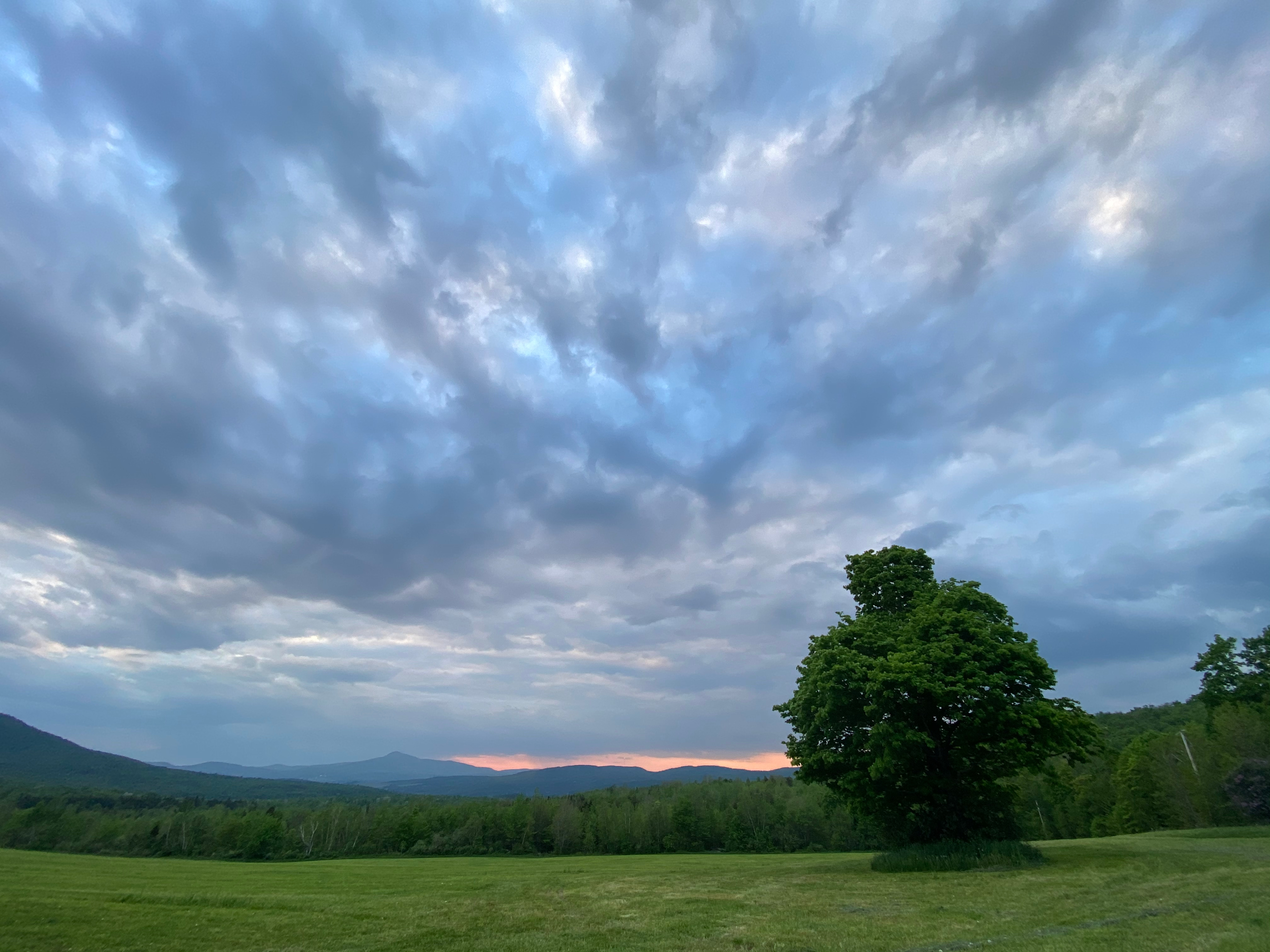 Hi Vue Farm Bliss Camp