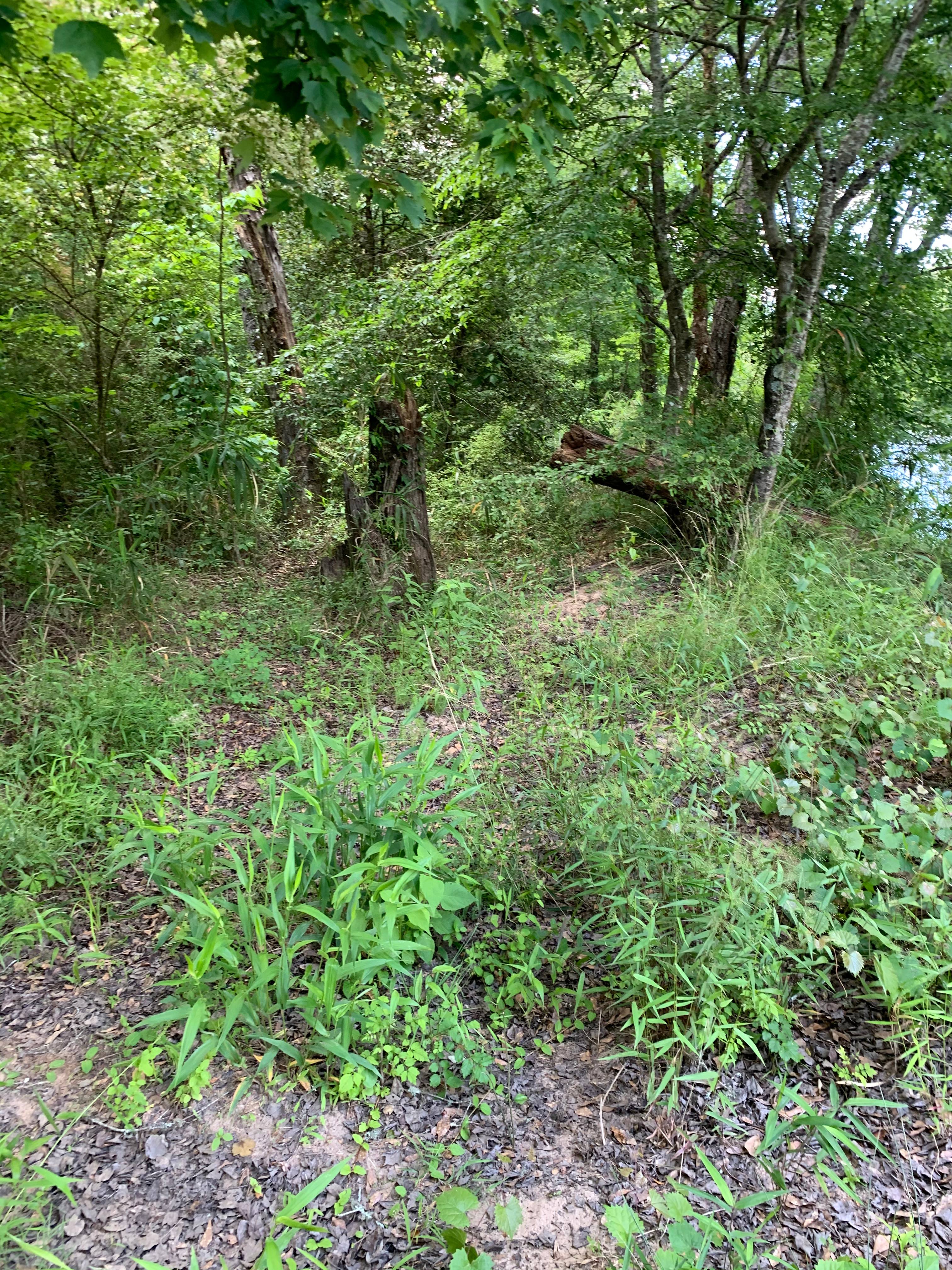 View of the area