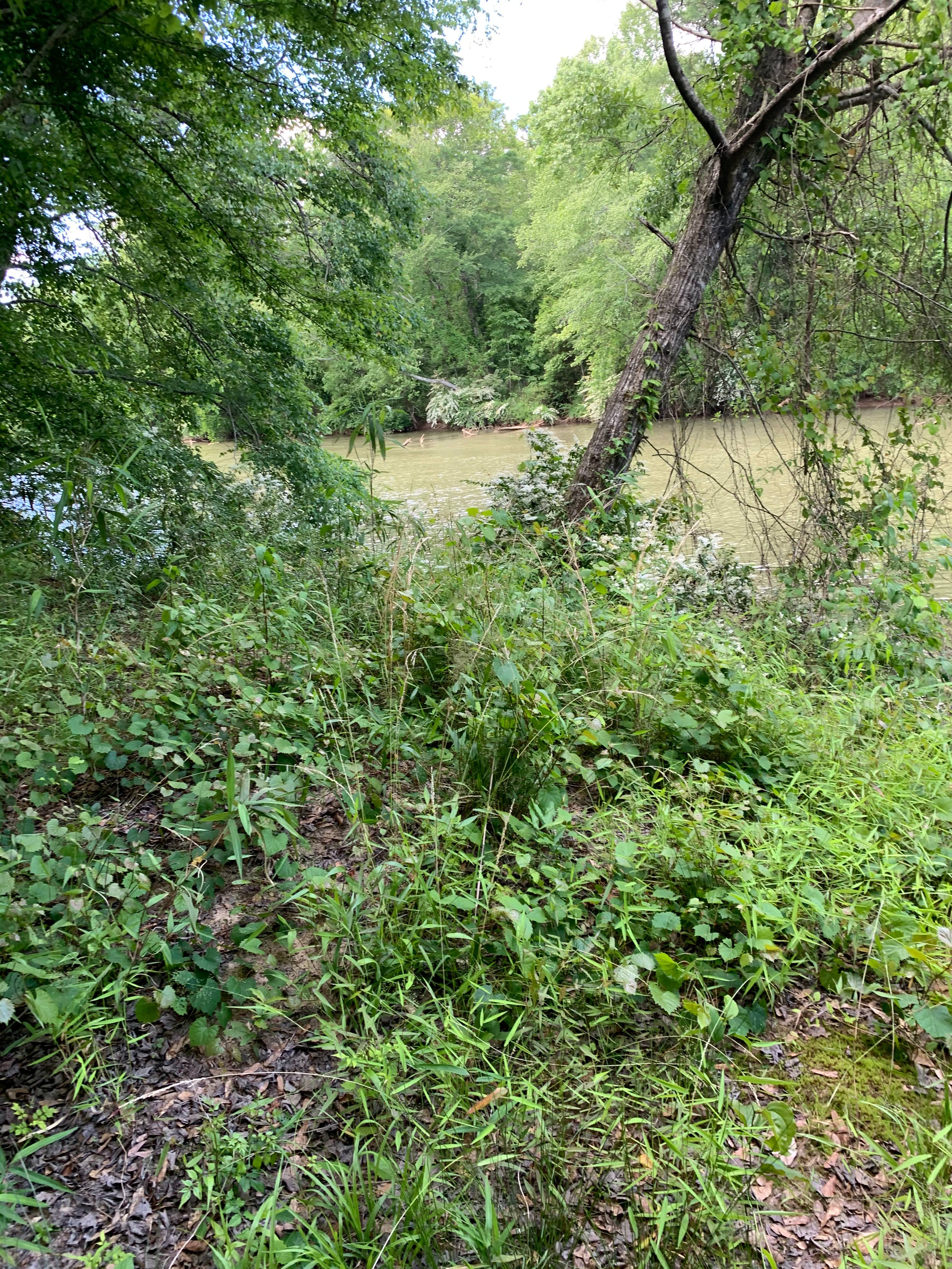Another river view, lots of shaded areas and there were hardly any bugs!