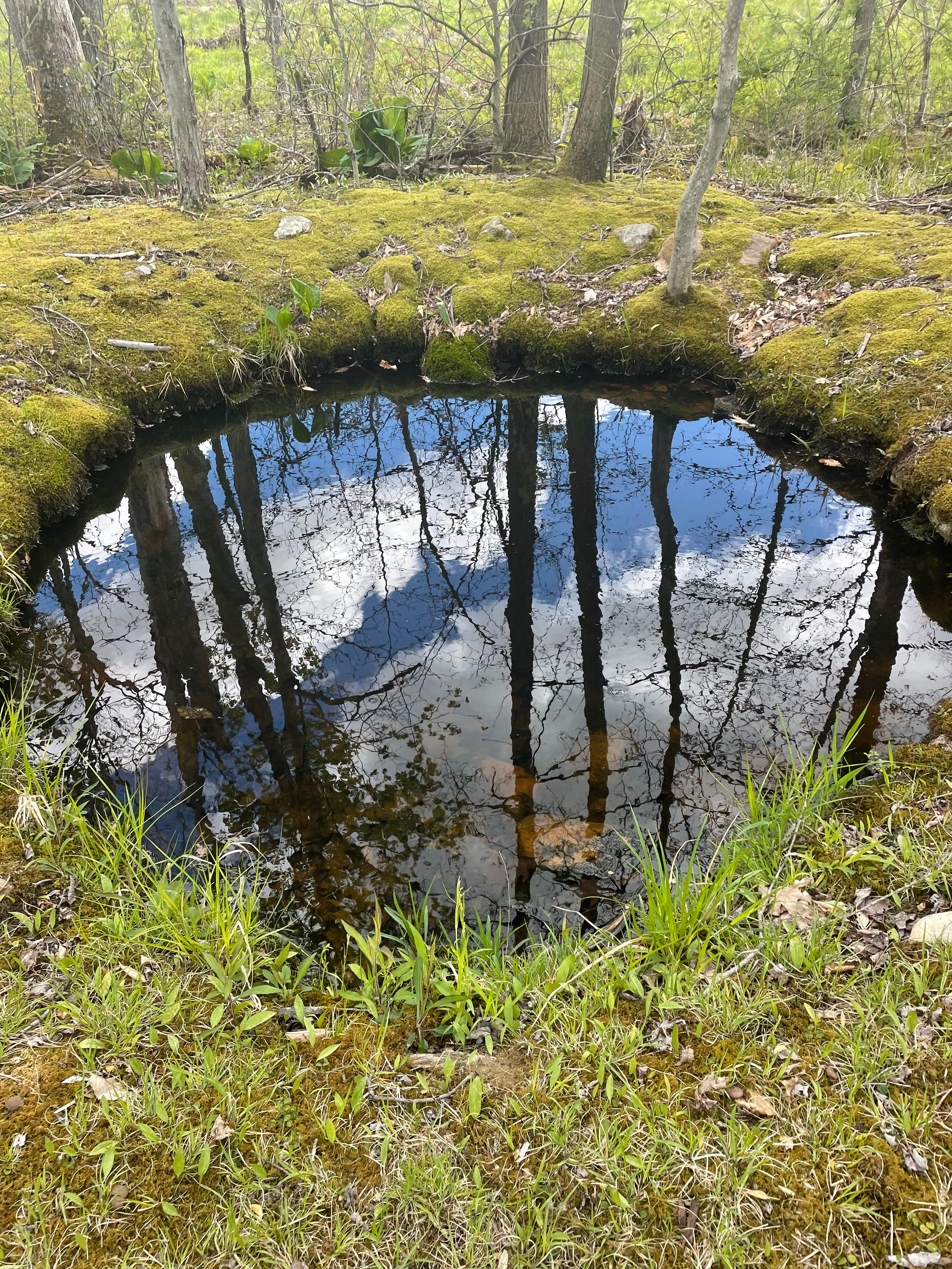 Nederlandia