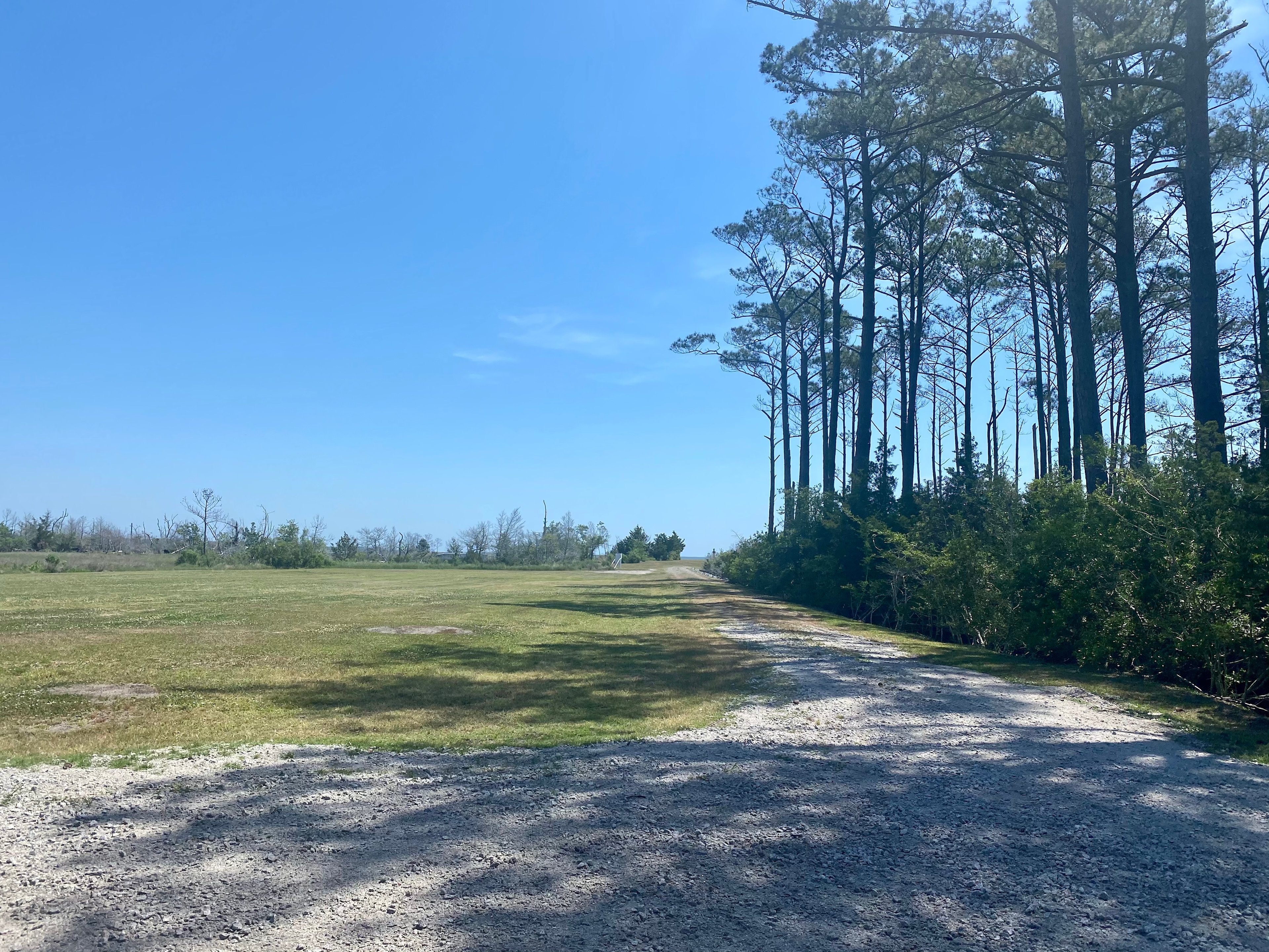 Escape near Cape Lookout