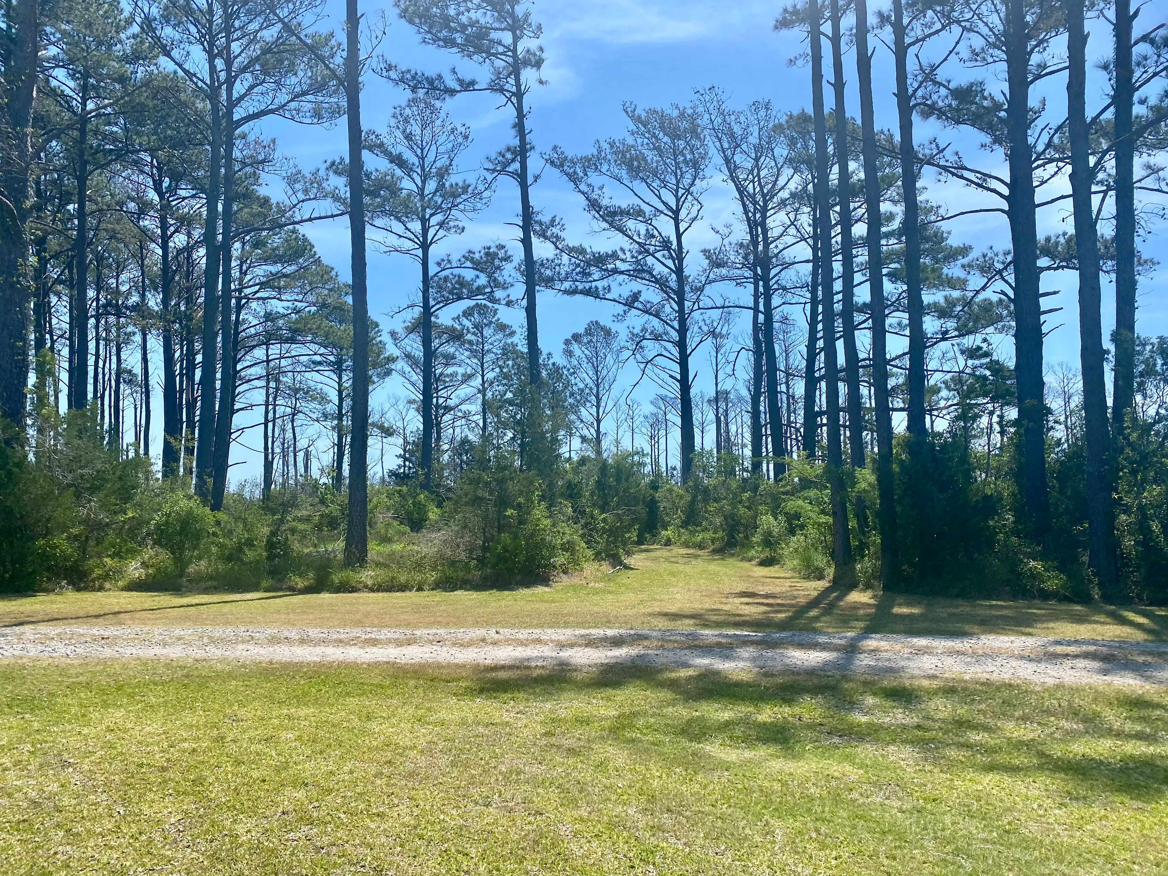 Escape near Cape Lookout