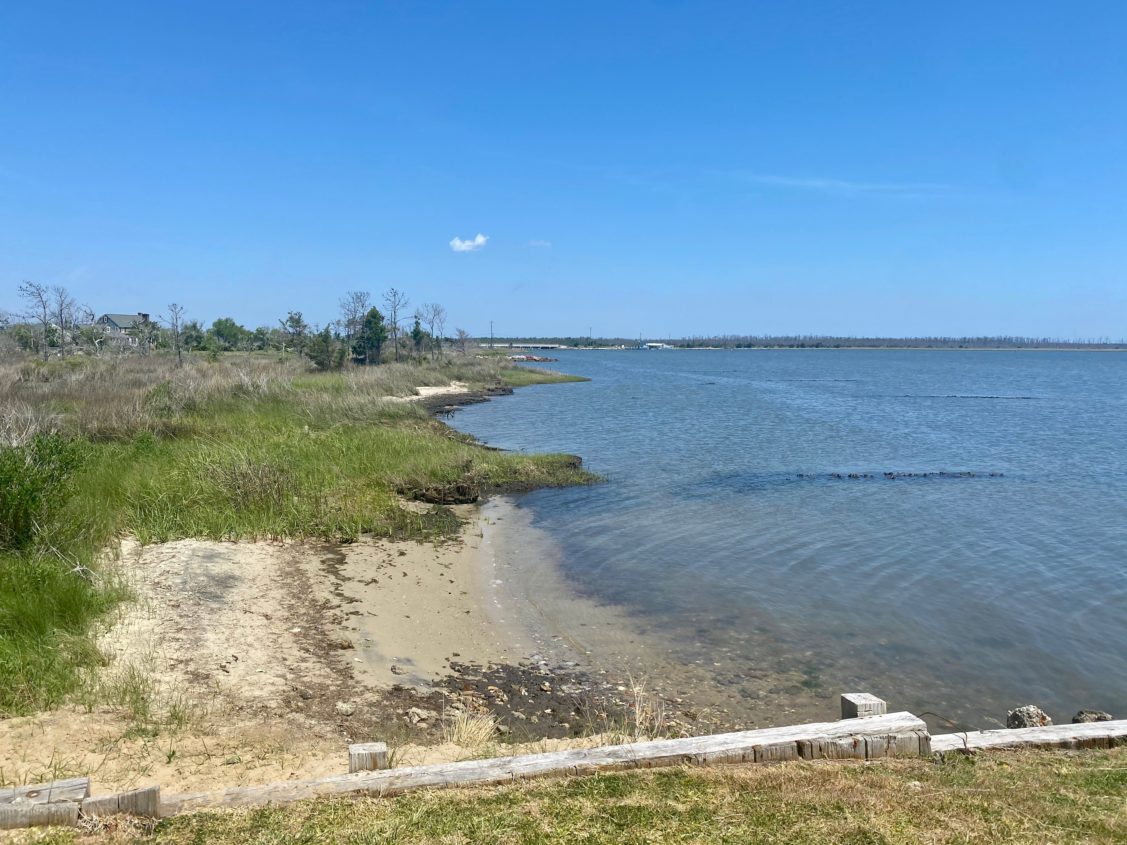 Escape near Cape Lookout