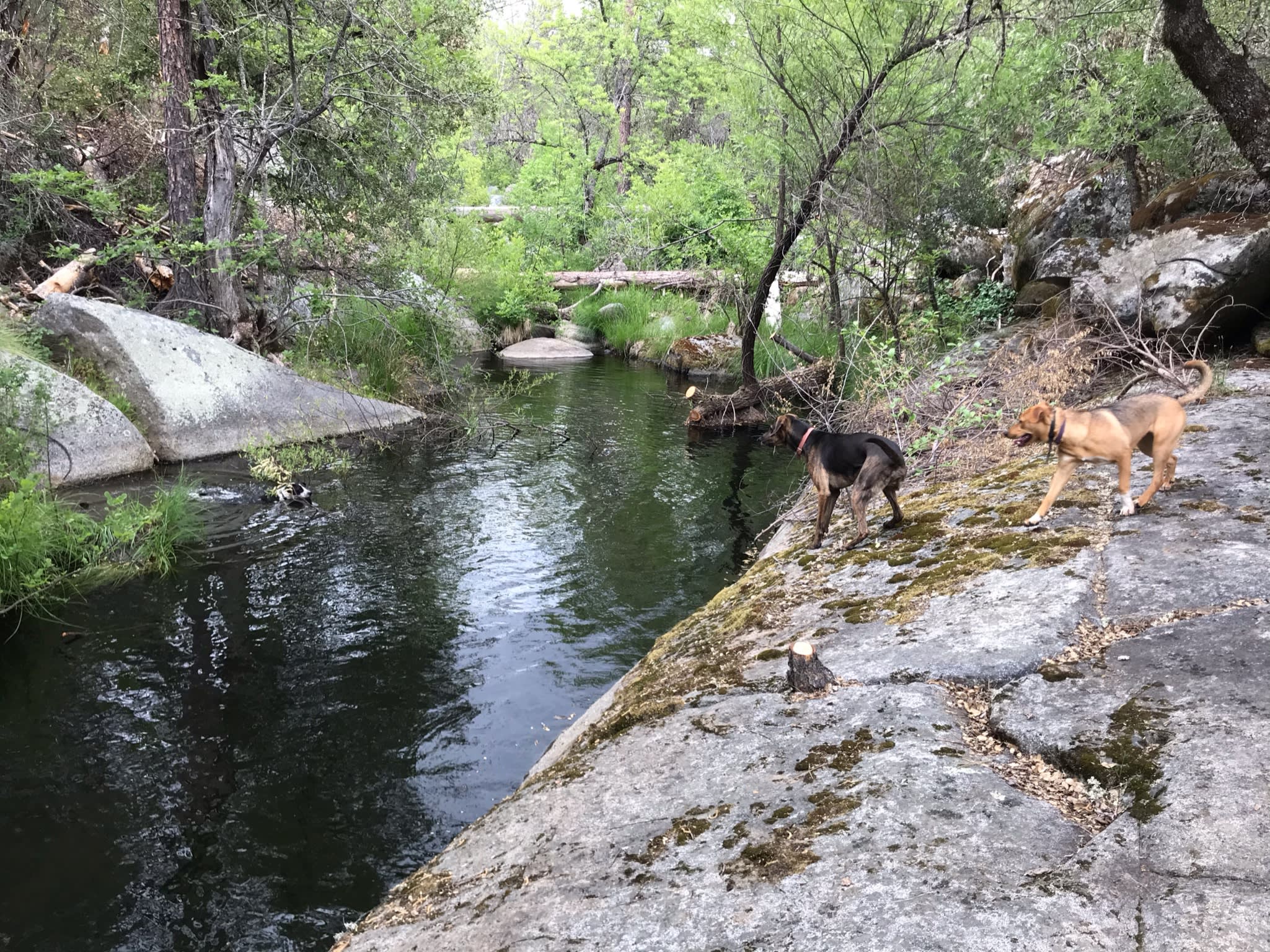 One of several swimming holes 