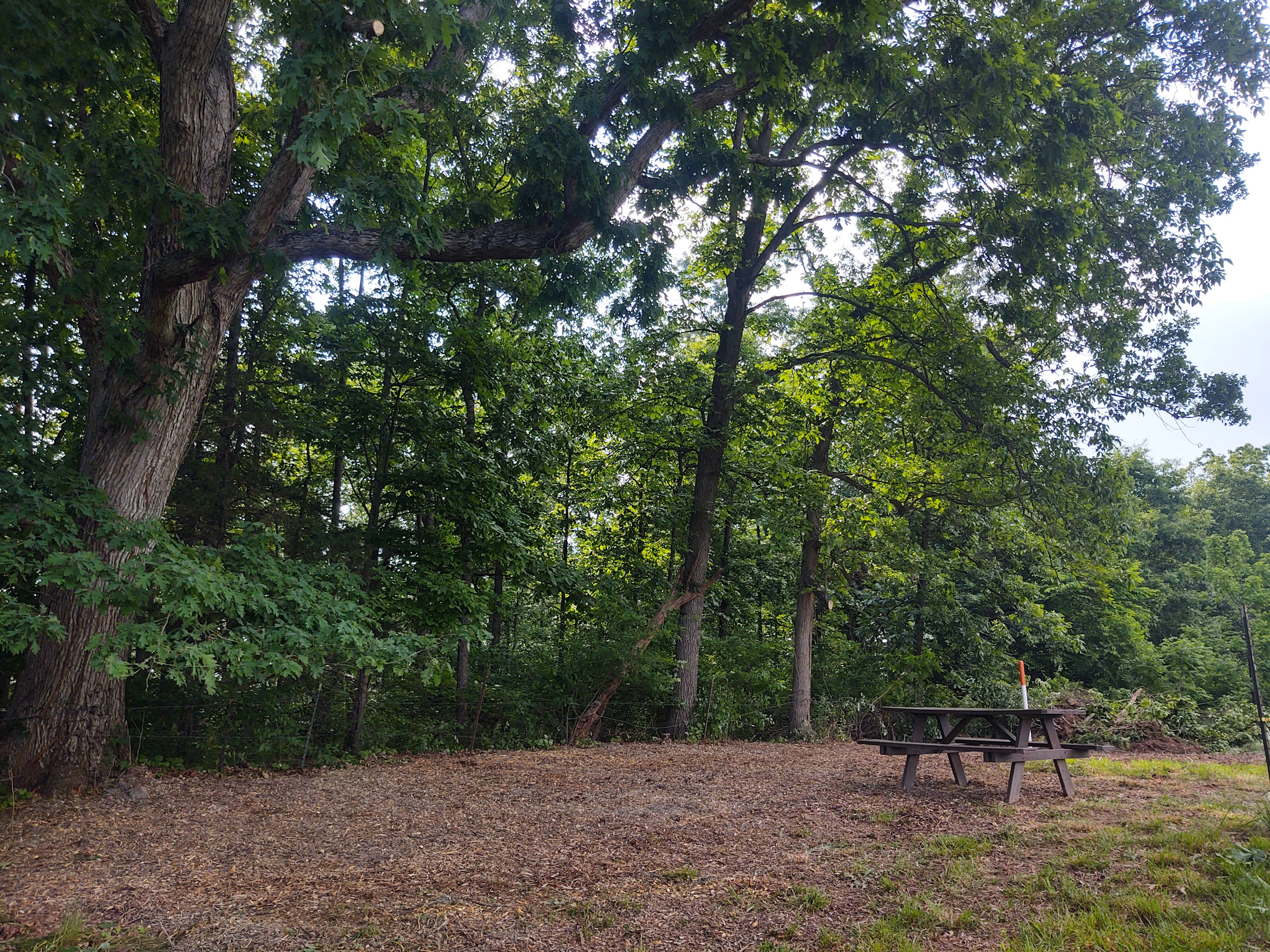 Site 2