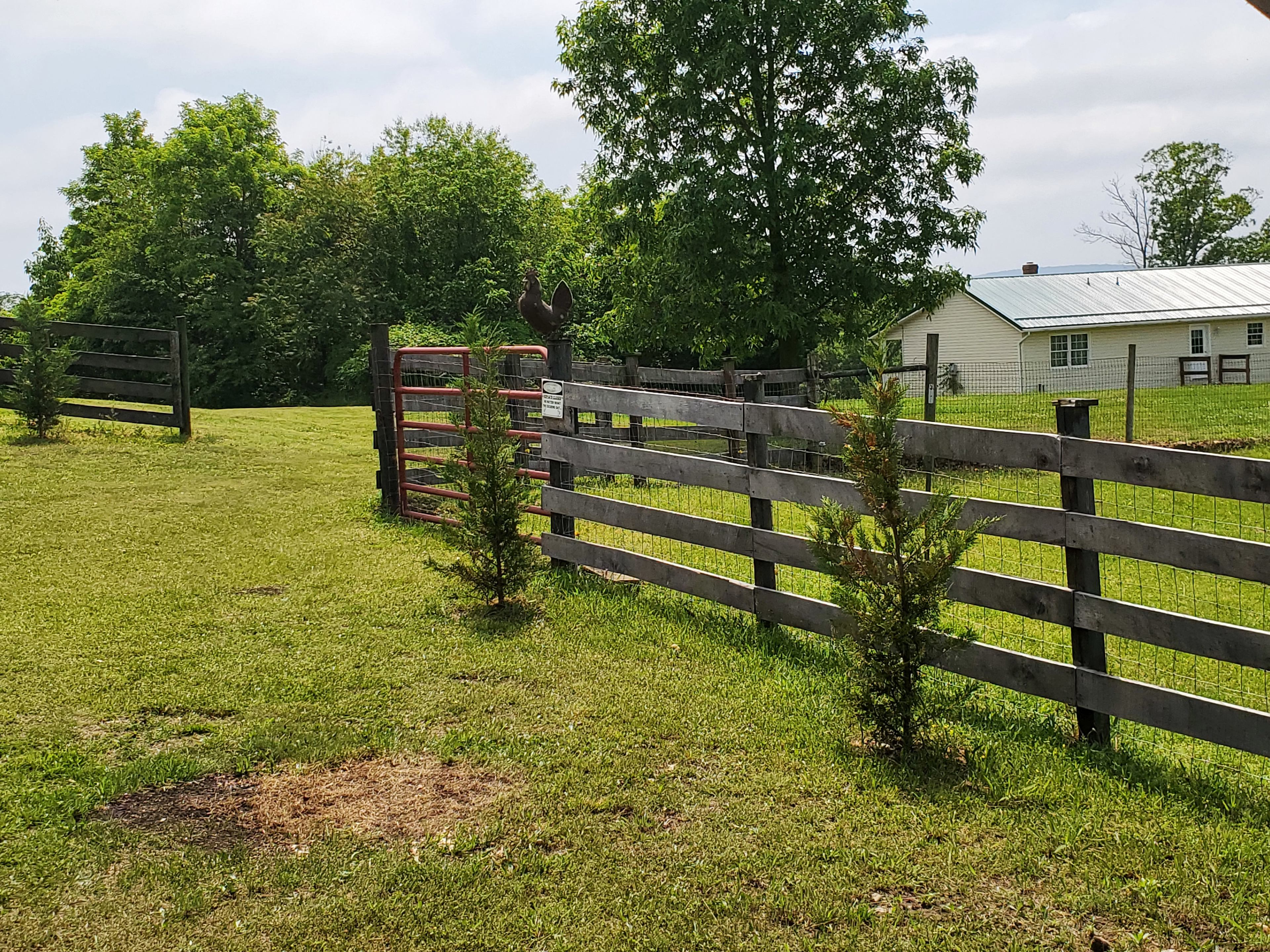 Mountain View Mini Farm
