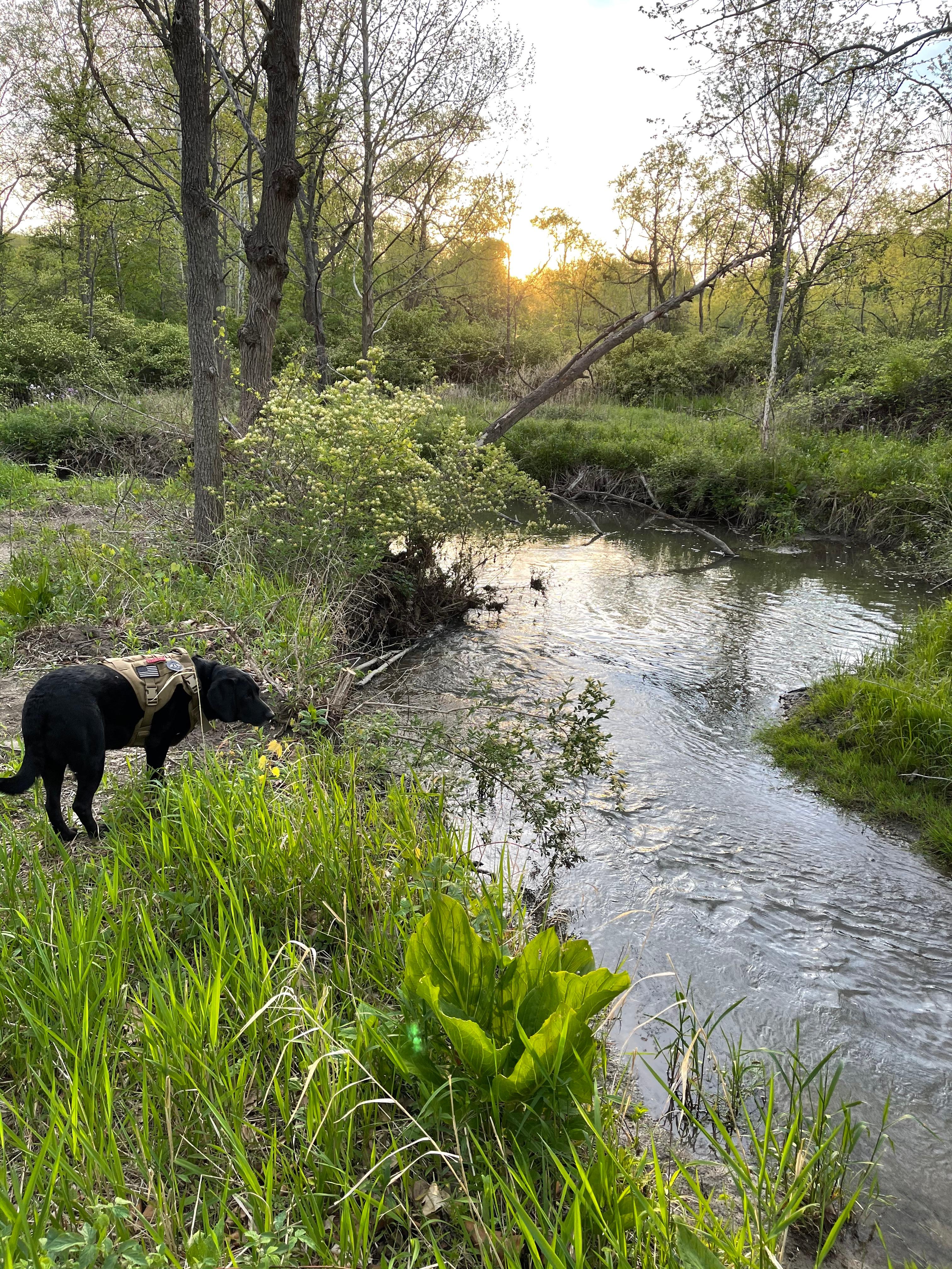 Peaceful Private Campground