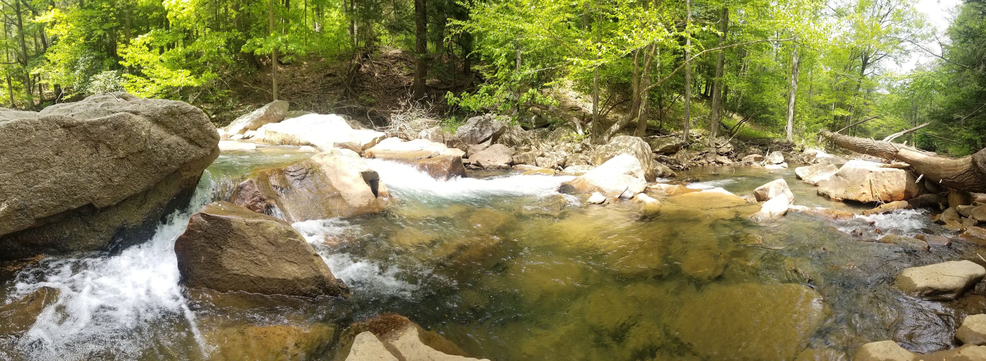 Abrams Creek Campground/Retreat