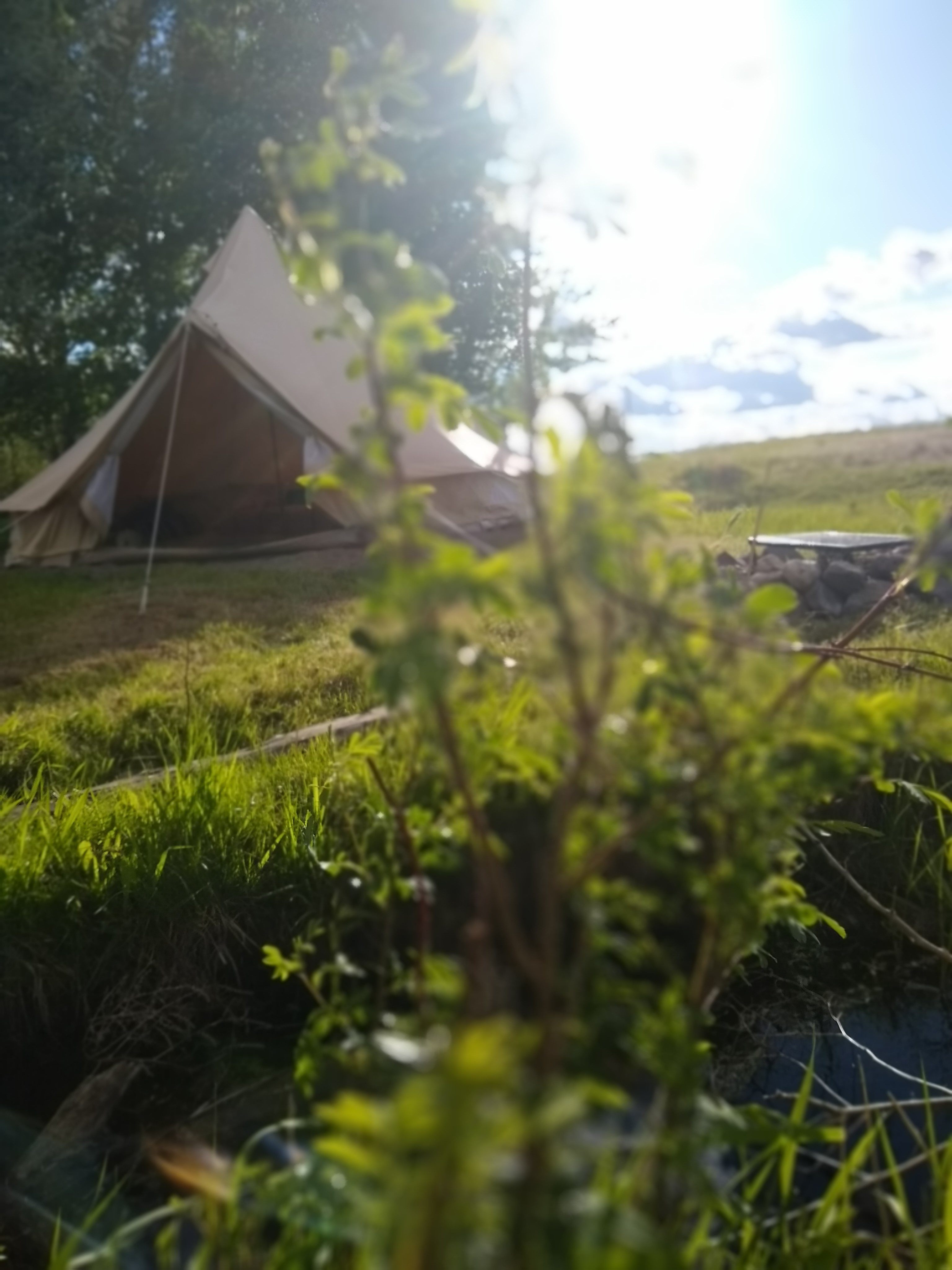 Willow Creek Retreat