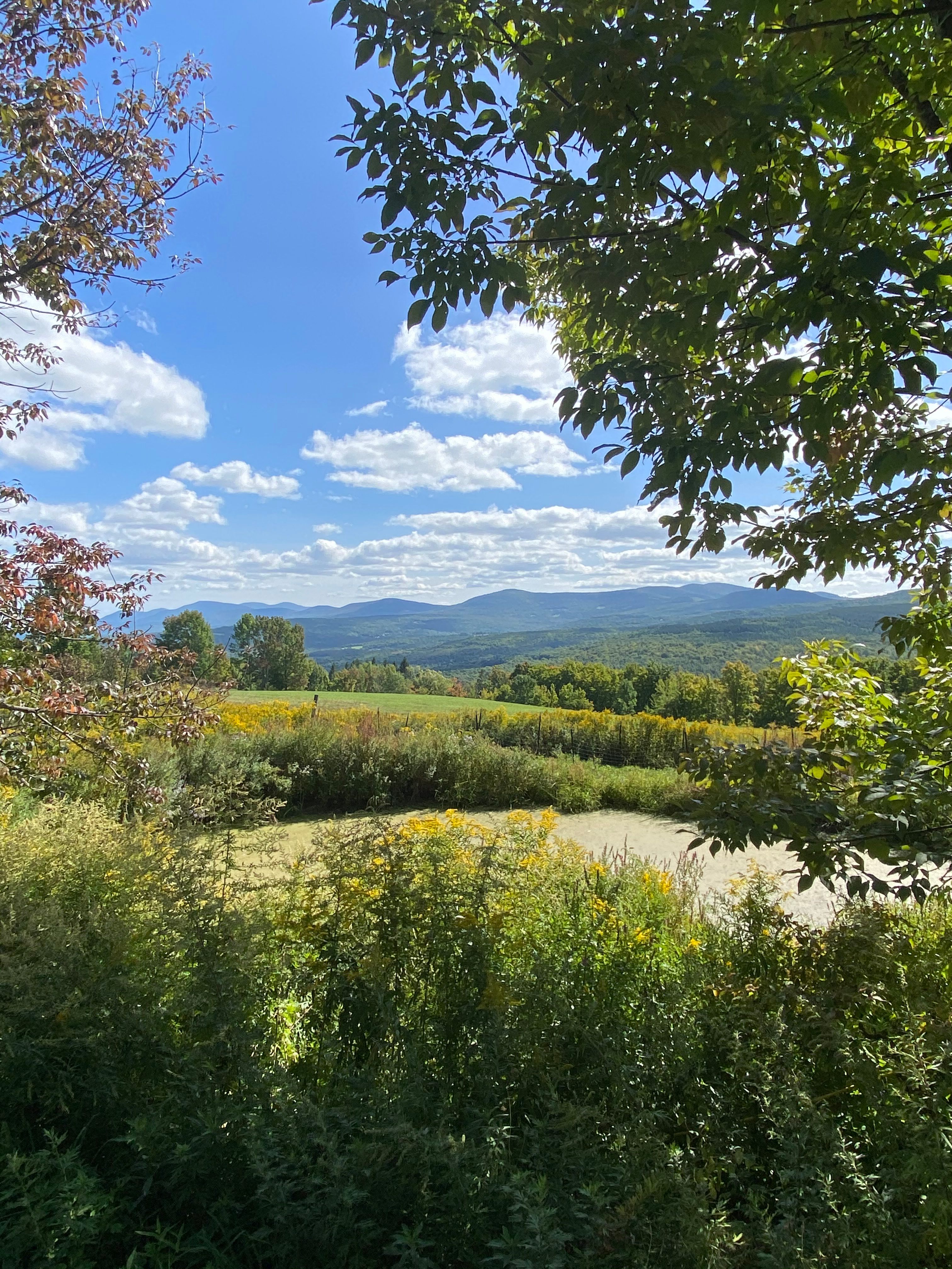 Mountain Glamp & Camp in Catskills
