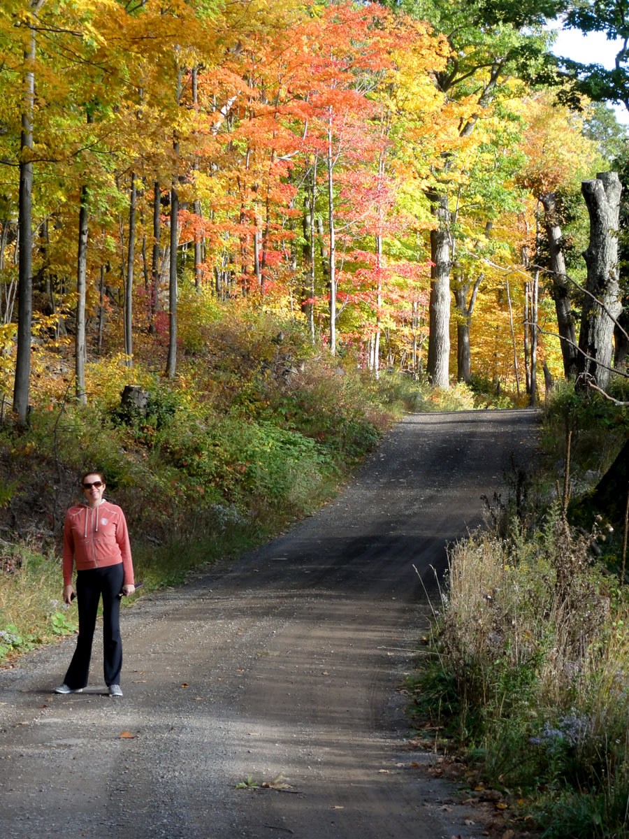 Mountain Glamp & Camp in Catskills