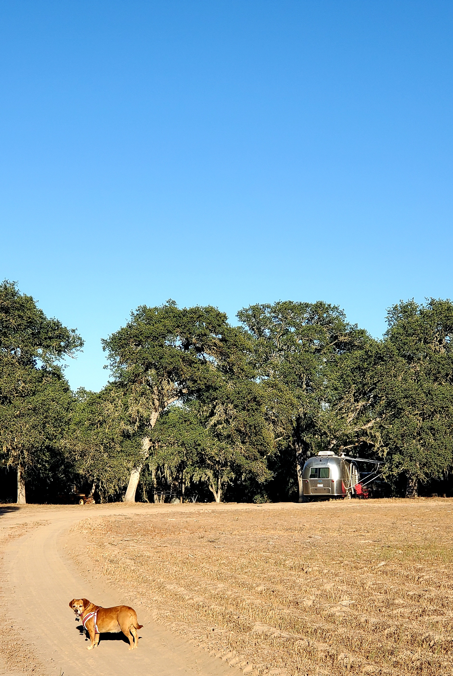 Smith Ranch