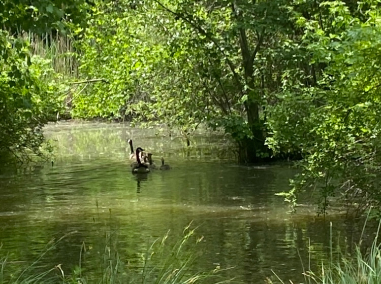 Keep it sweet and "SIMPLE"