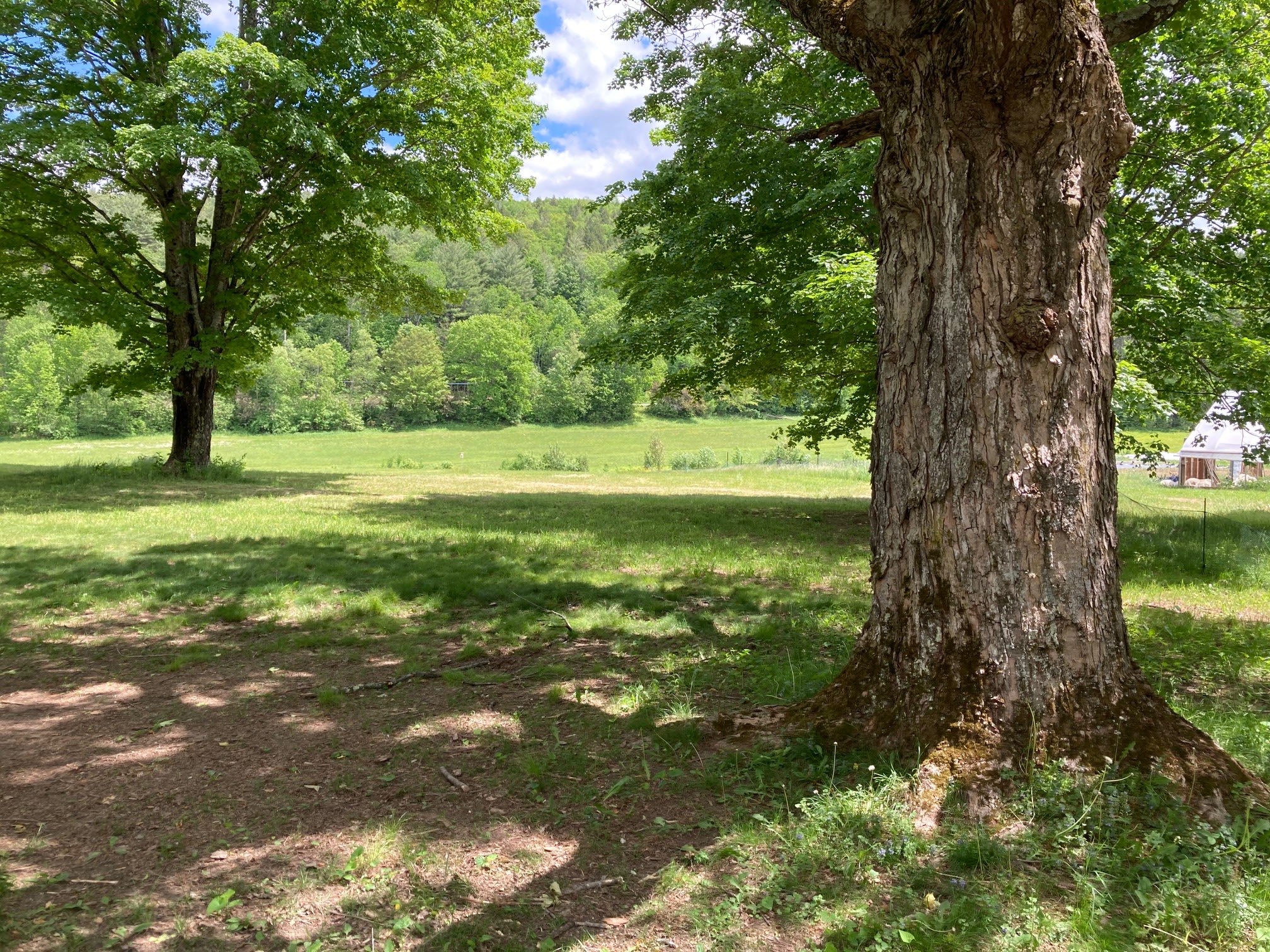 View from the campsite
