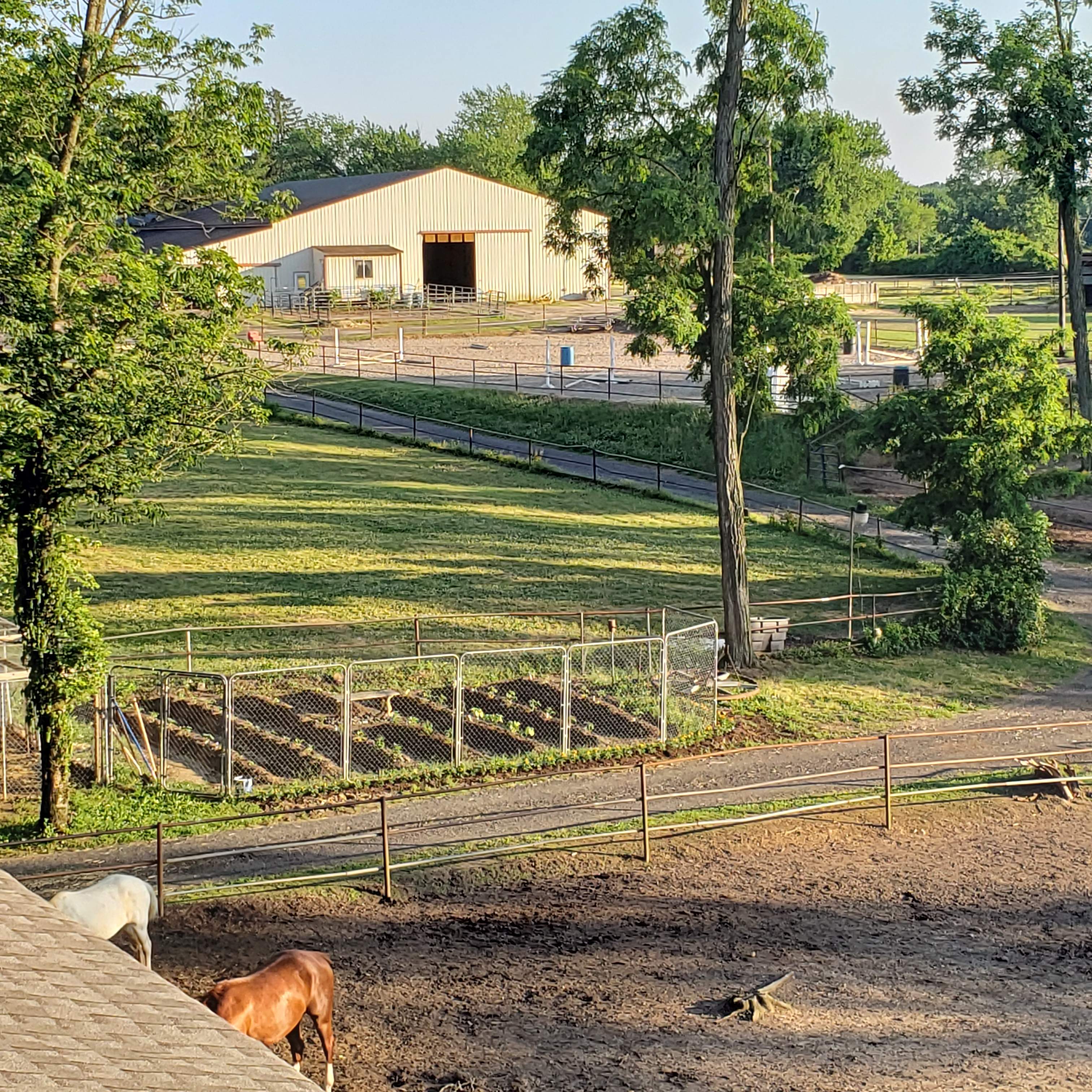 Horse Farm Camping