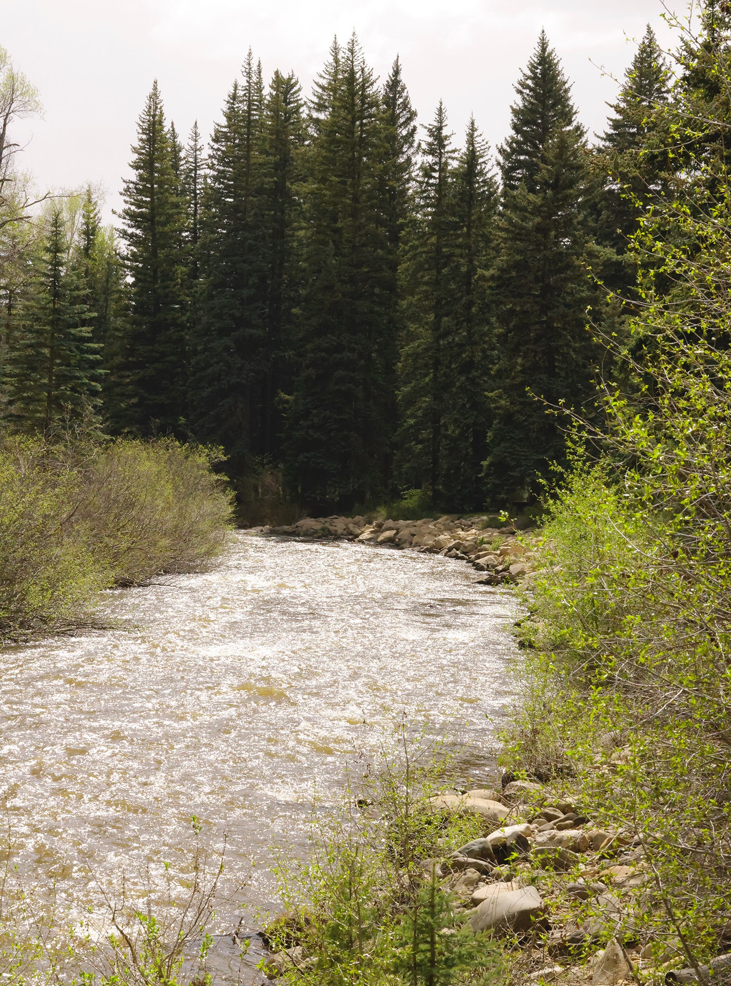 West Dolores River during high flow, spring run off / loop B end of the campground.