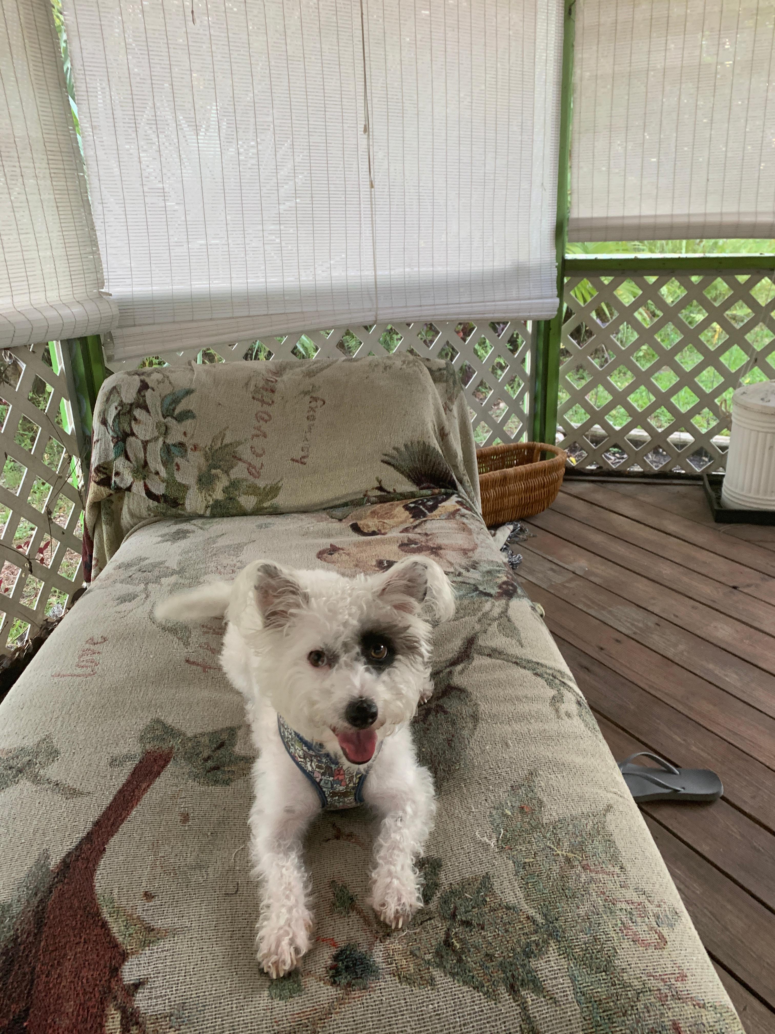 Nice screened in area to enjoy