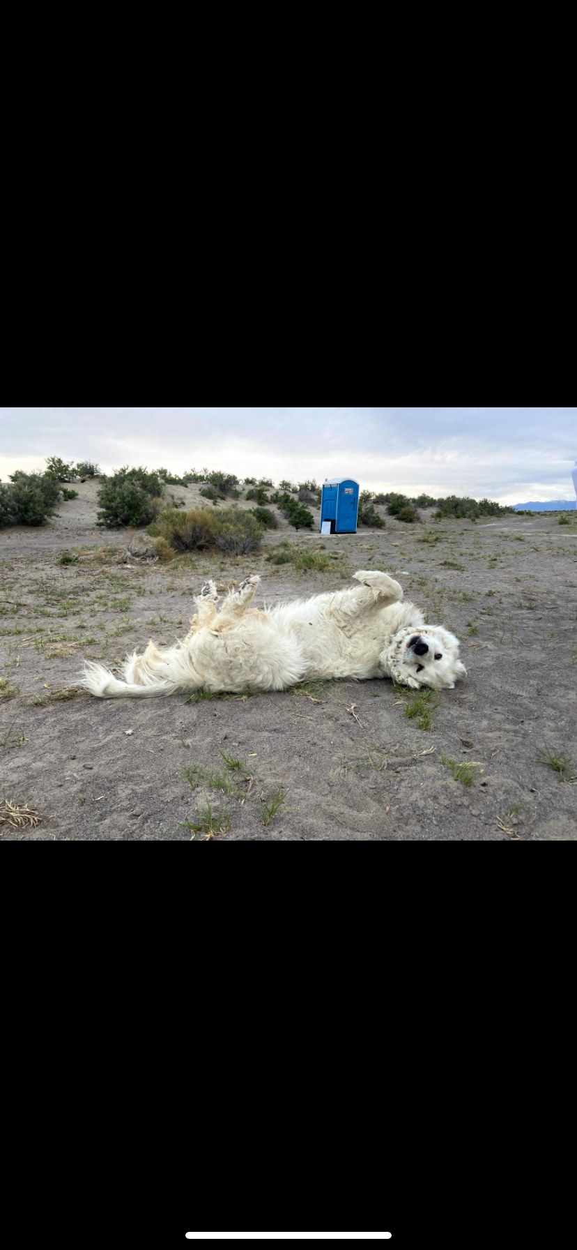 Rabbit Hole Ranch